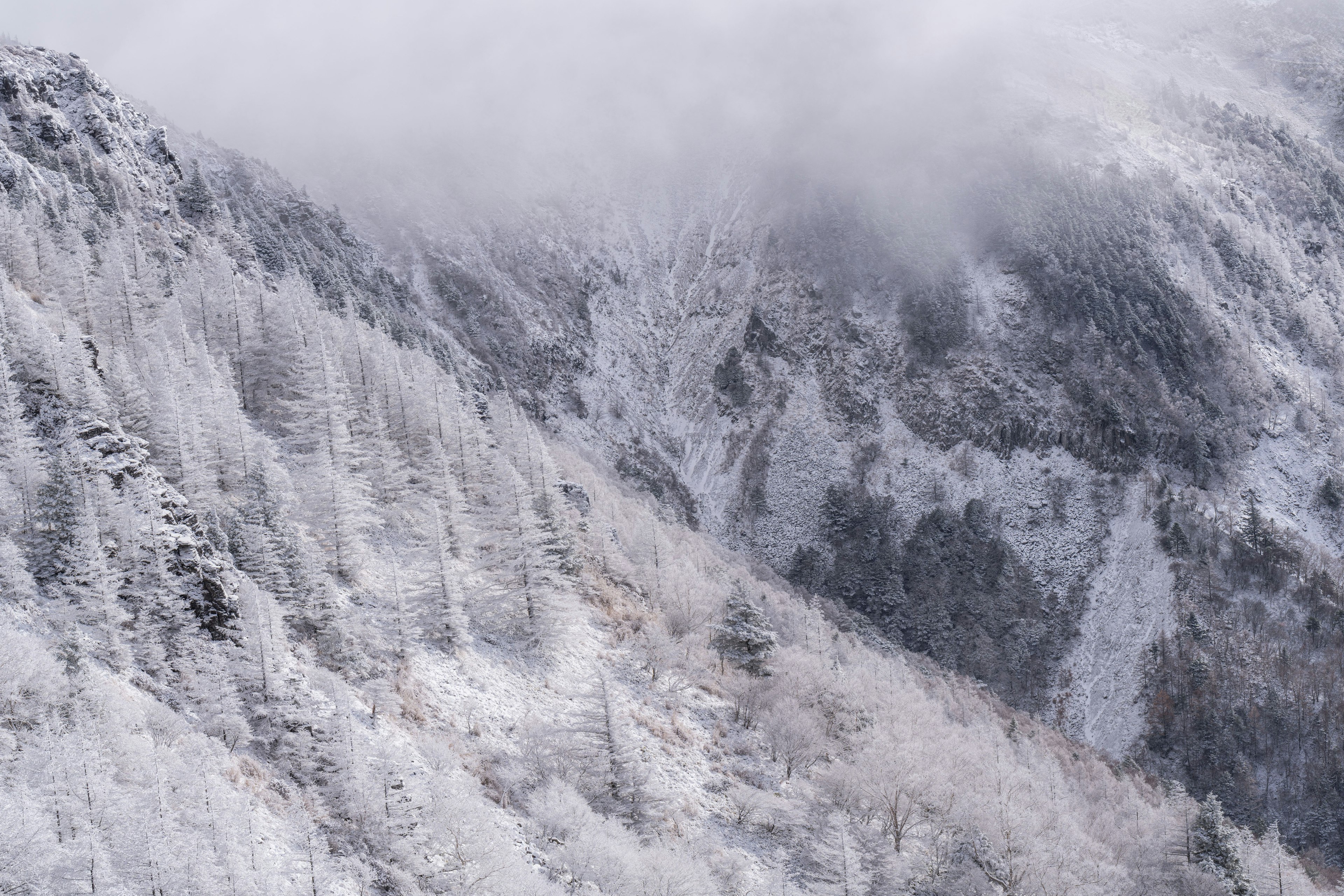 Paisaje montañoso cubierto de nieve con niebla