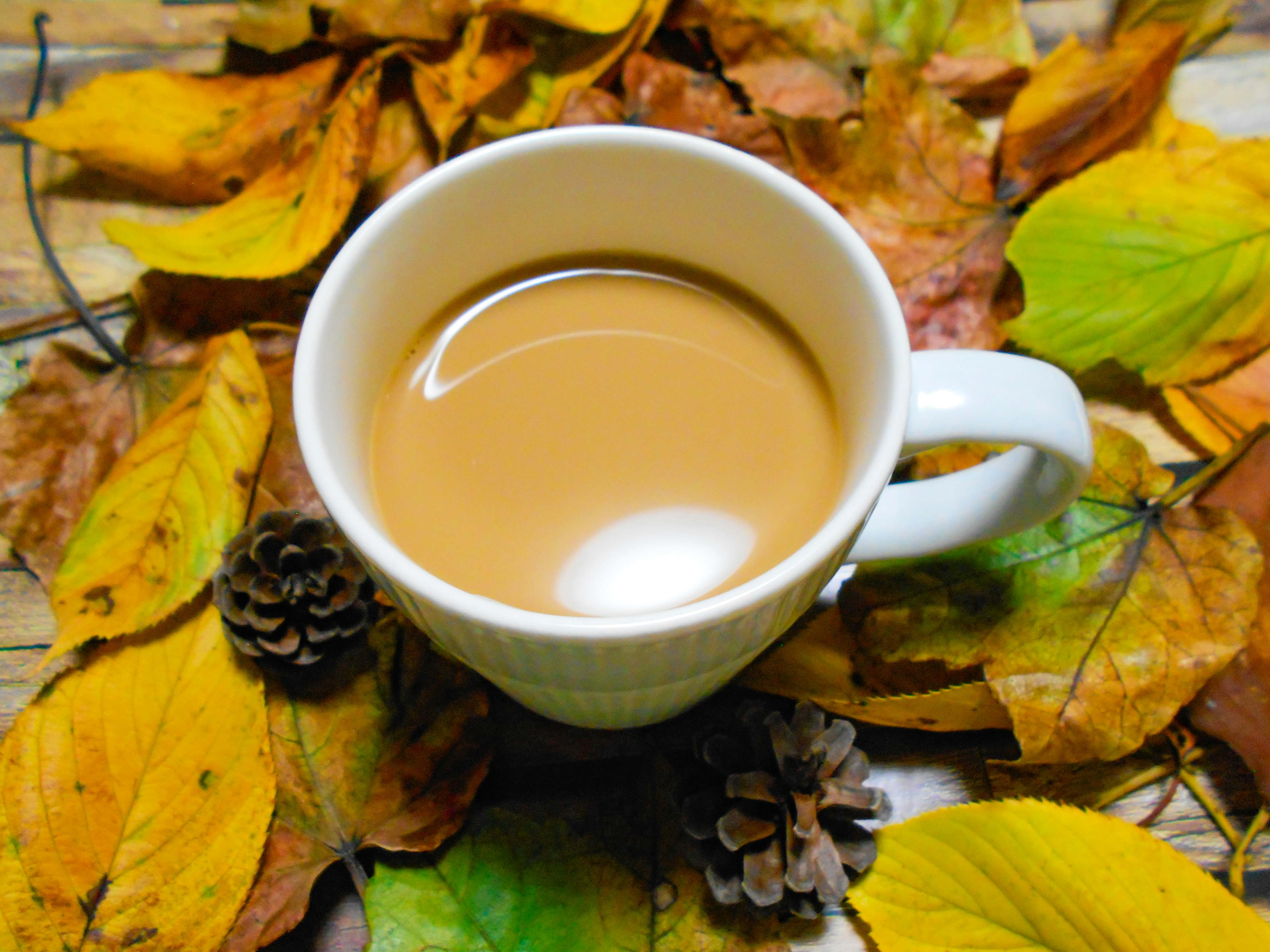 Taza de café rodeada de hojas de otoño