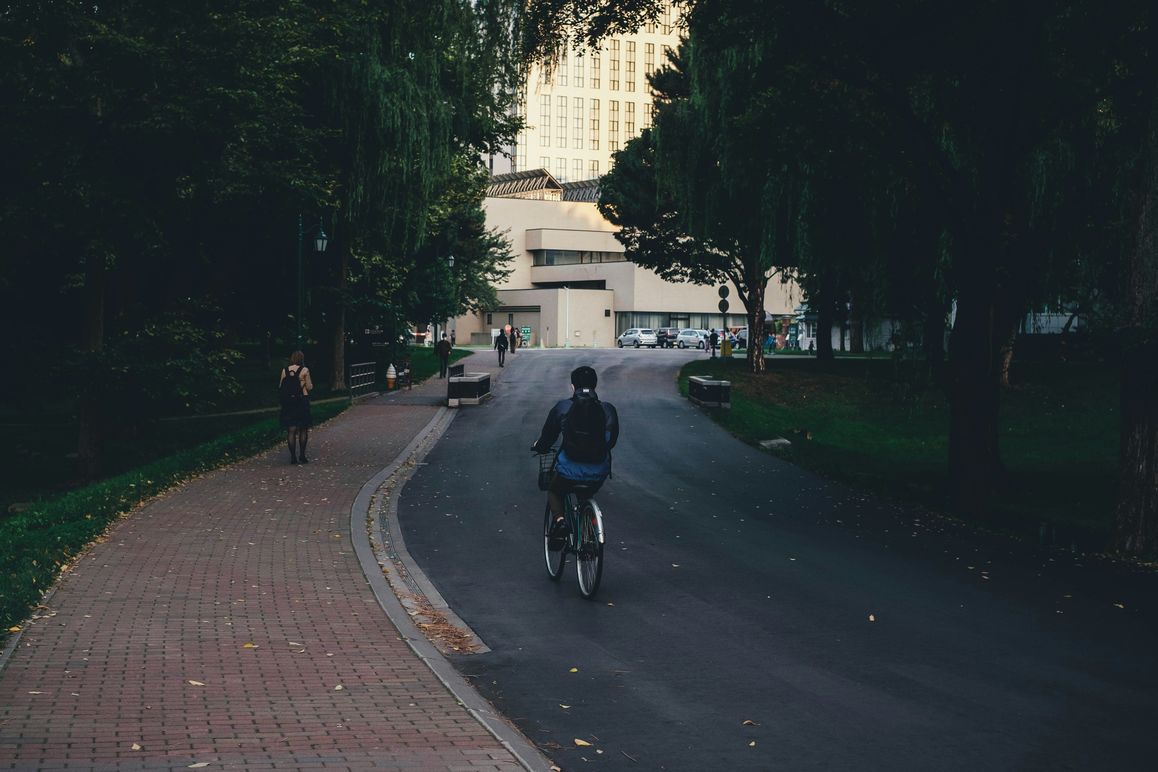 自転車に乗る人物が公園の道を進む風景