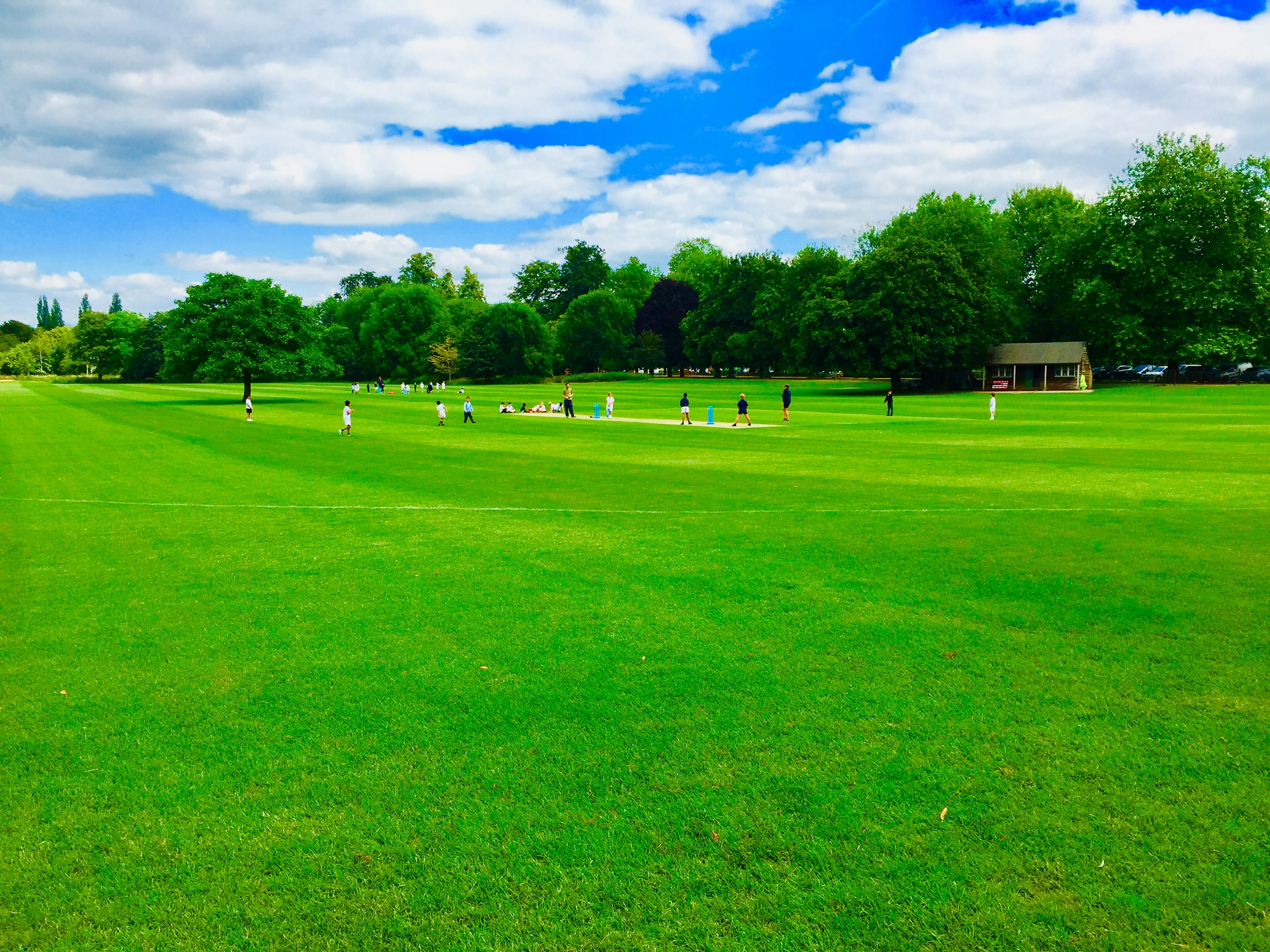 Un parc pittoresque avec une pelouse verte où des gens jouent au cricket