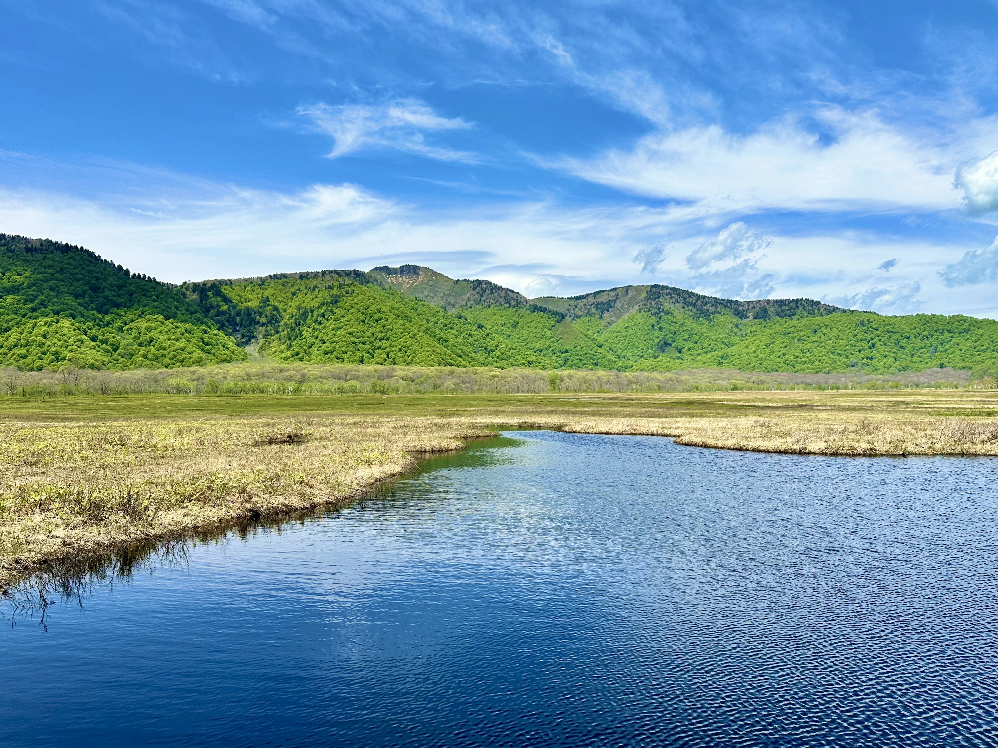 Paysage de marais avec ciel bleu et montagnes vertes