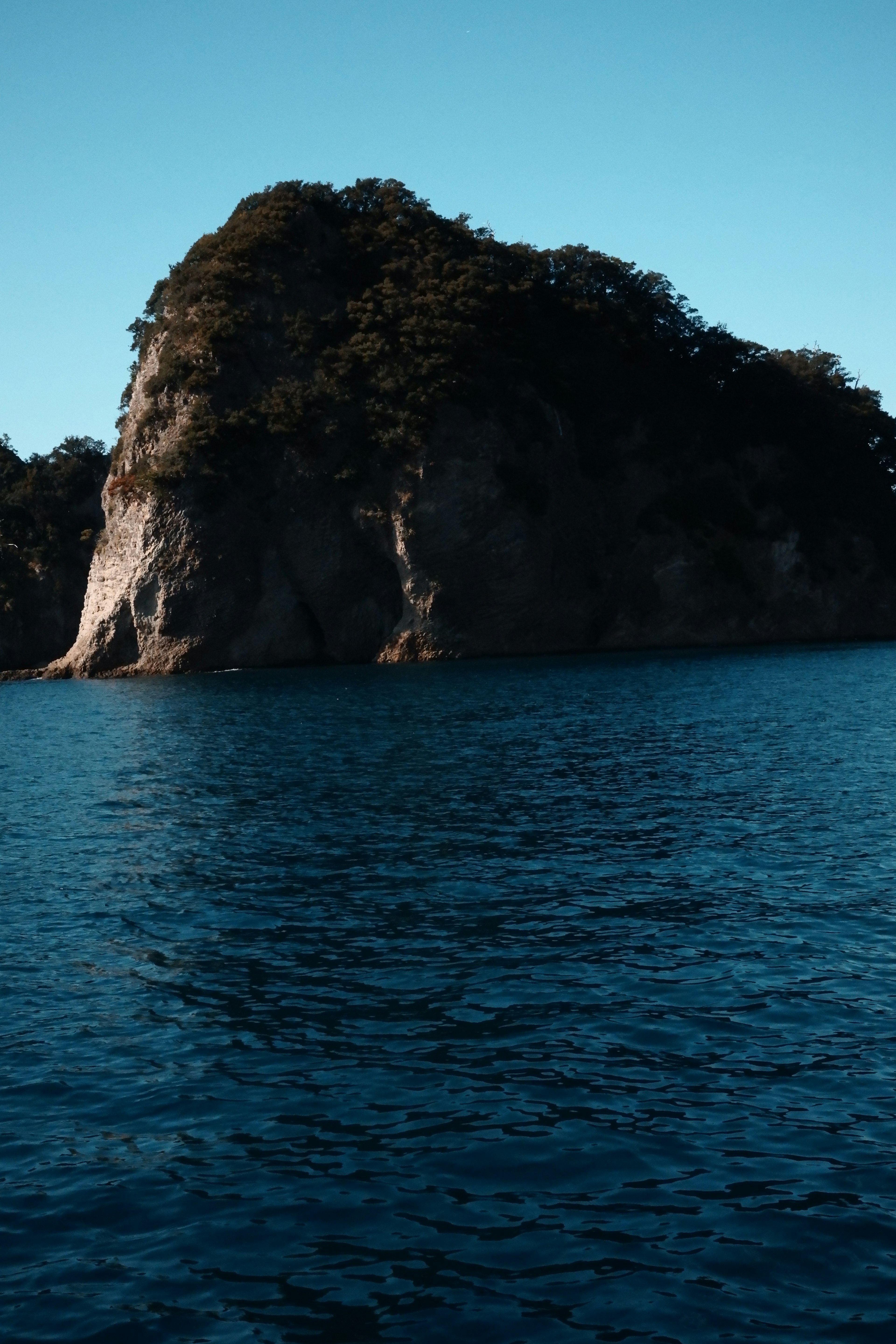 青い海と緑の木々に囲まれた大きな岩