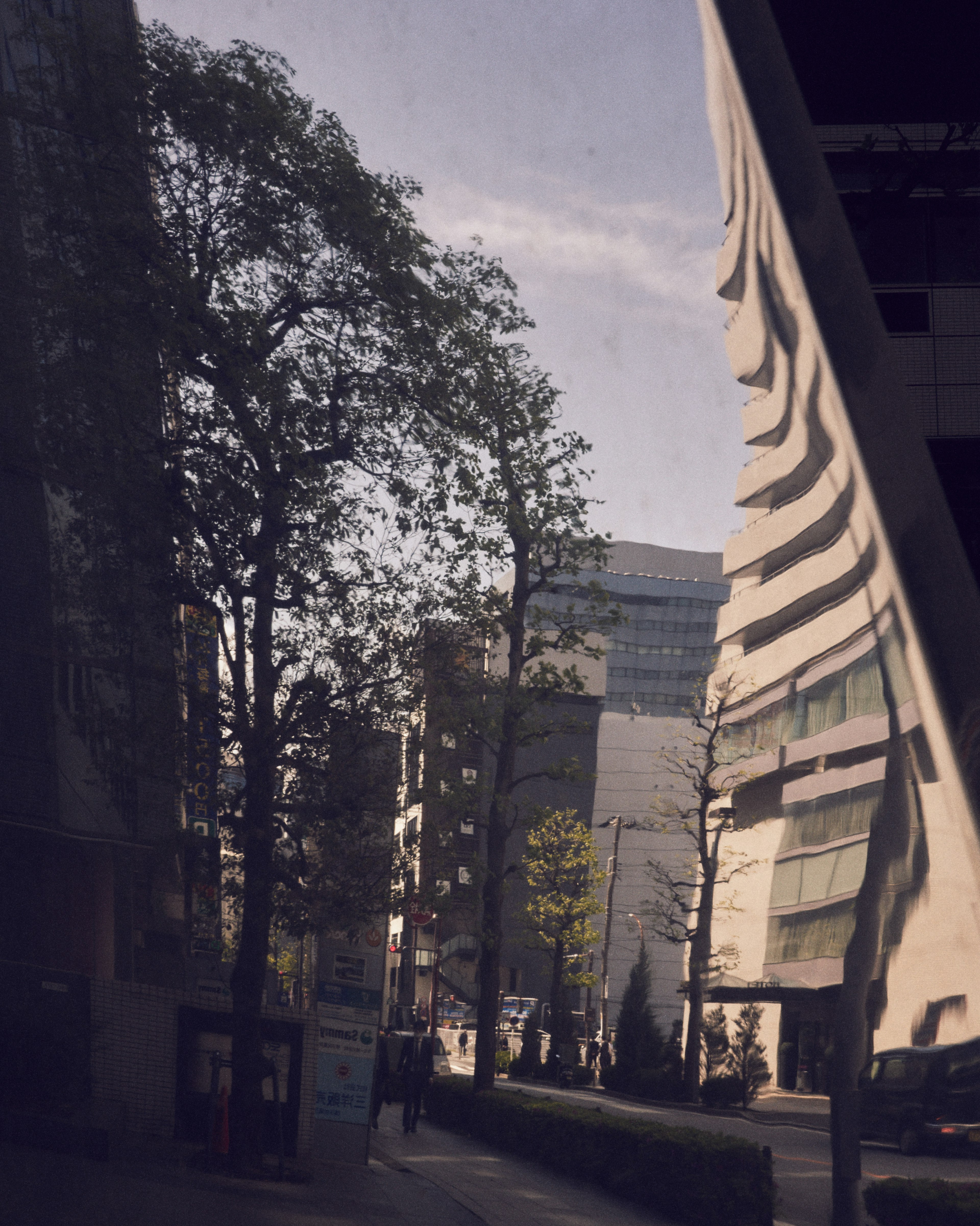 Reflejo de edificios modernos y árboles a lo largo de una calle urbana