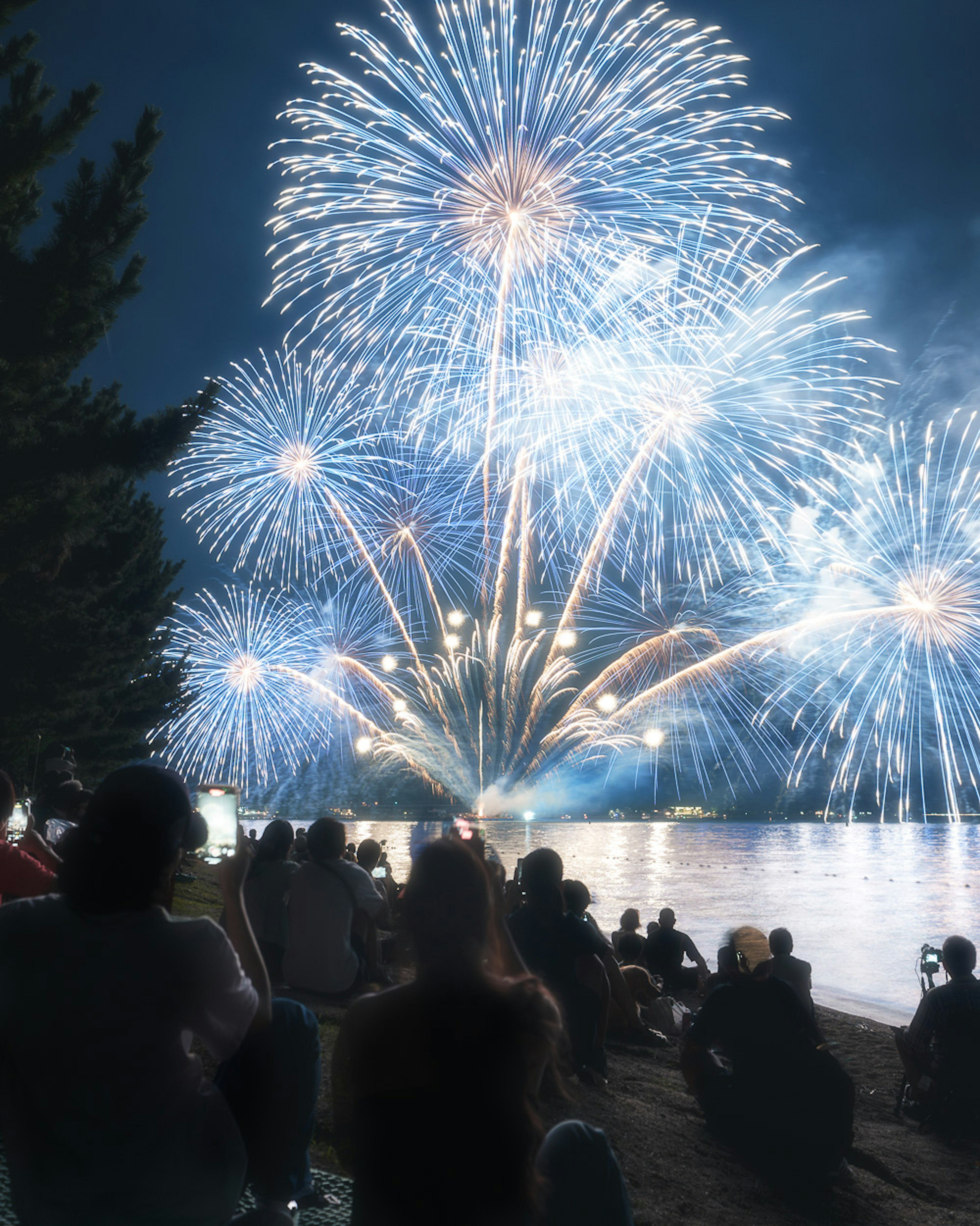 Cielo notturno pieno di fuochi d'artificio colorati e sagome di spettatori