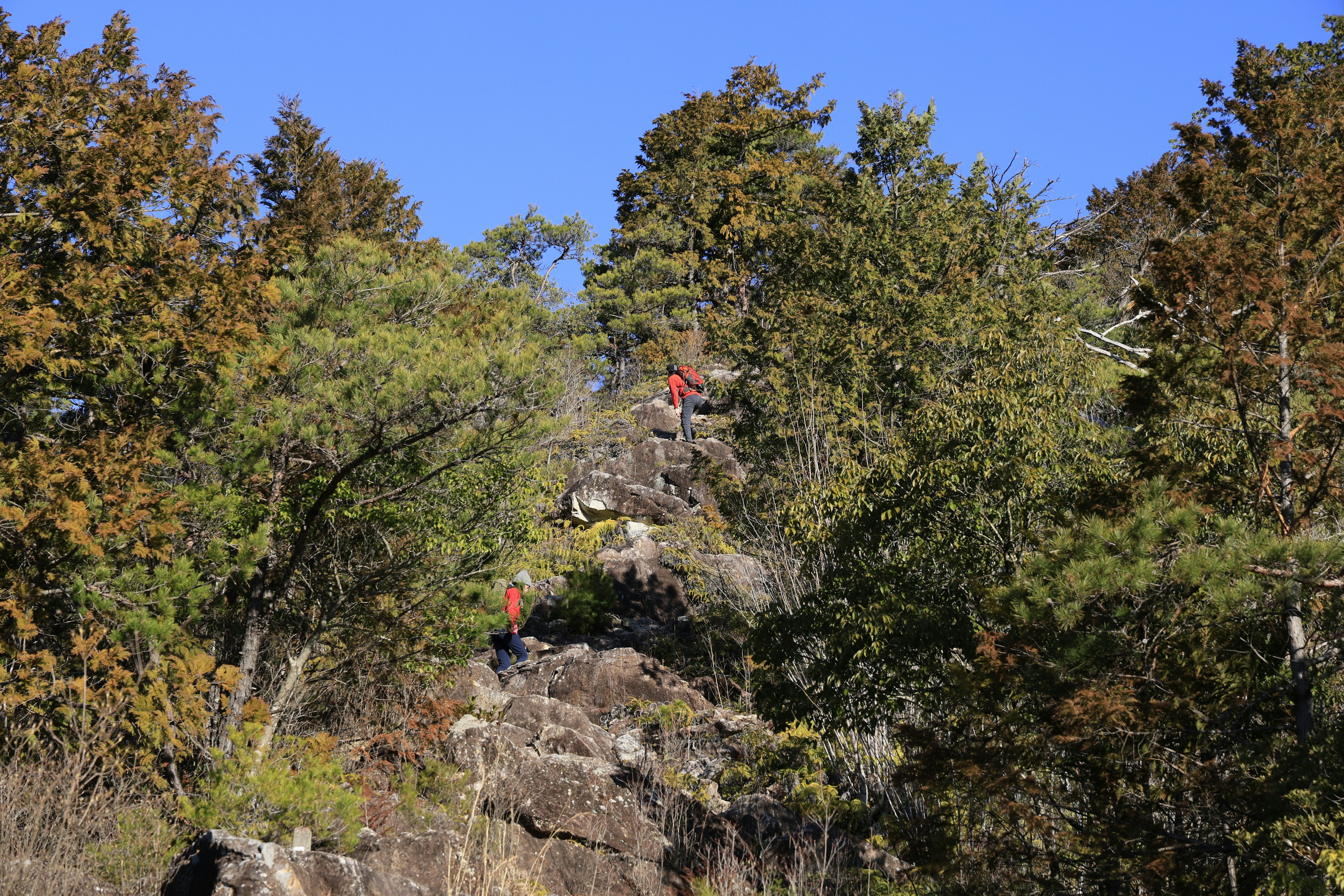 岩の上にいる登山者と秋の木々の景色