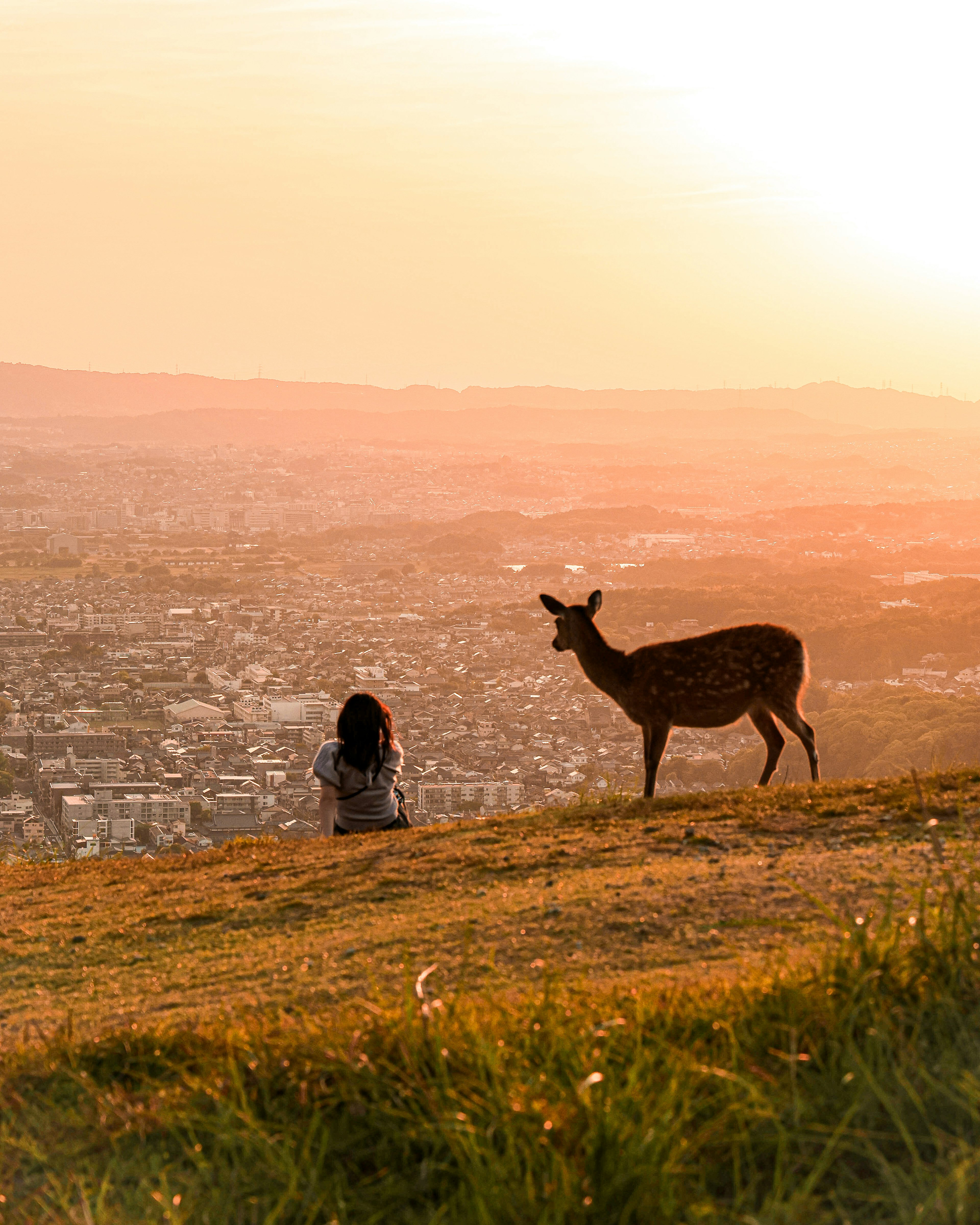 夕日を背景にした女性と鹿のシルエット