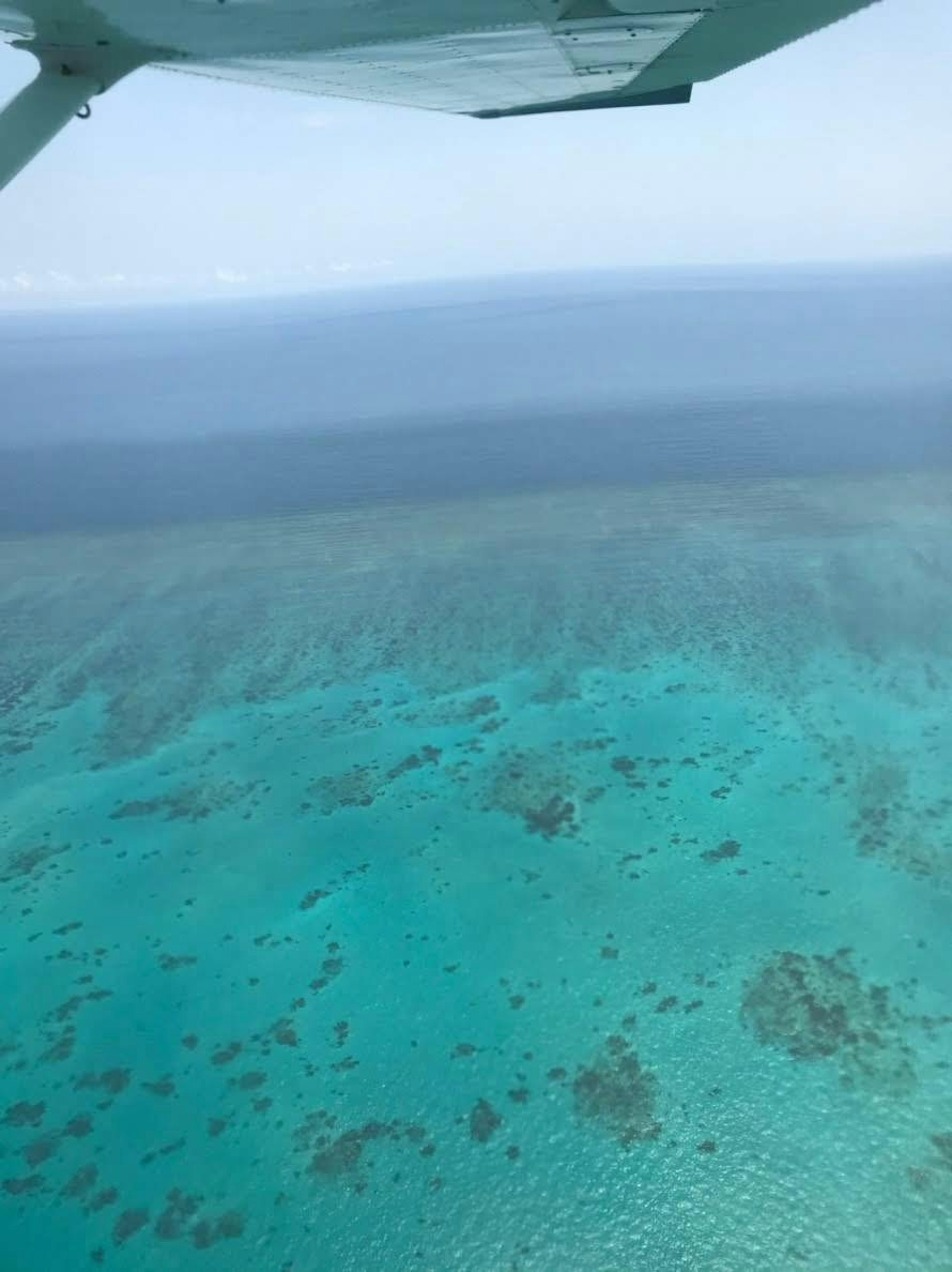 Aerial view of turquoise water and coral reefs