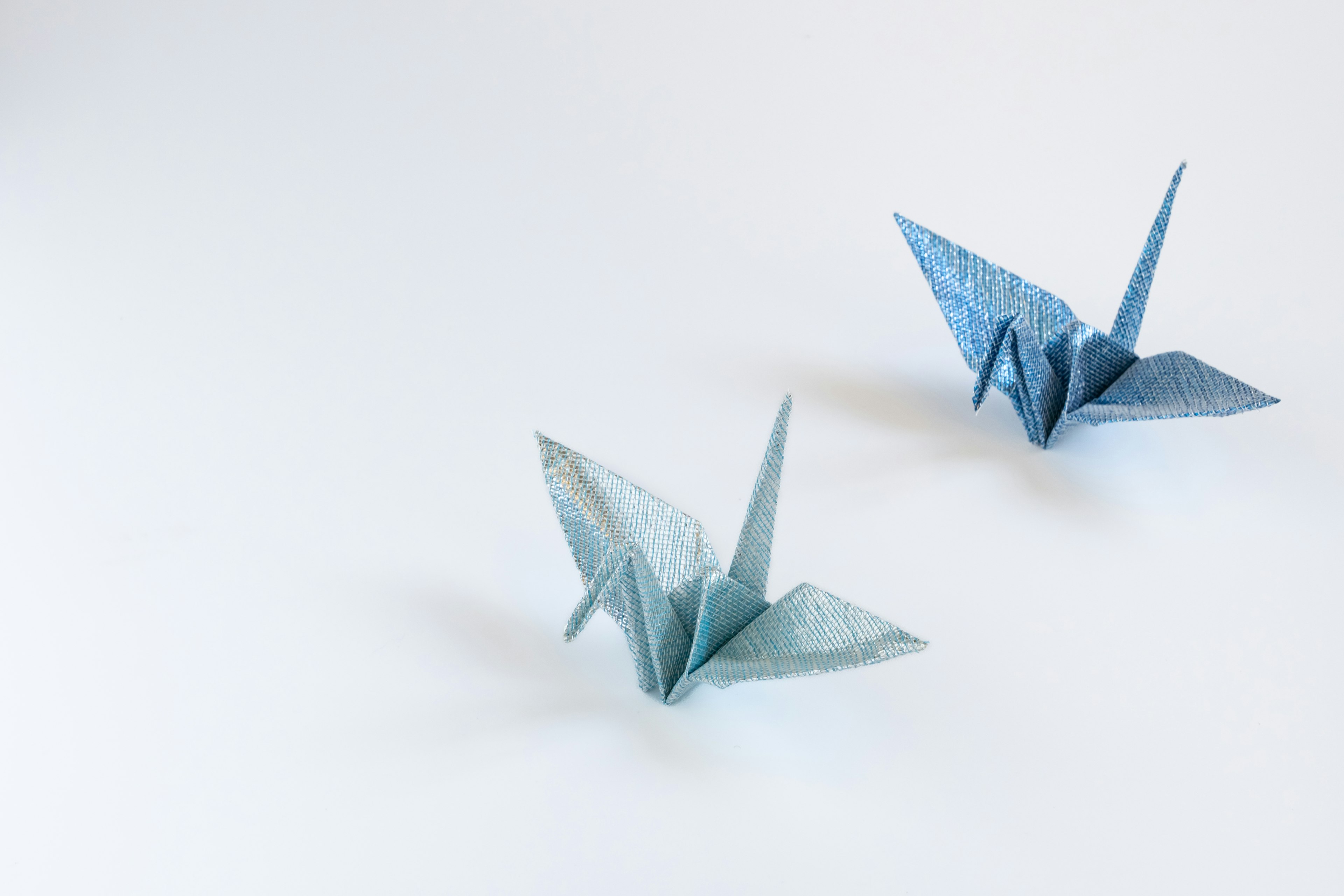 Dua burung bangau origami biru di latar belakang putih sederhana