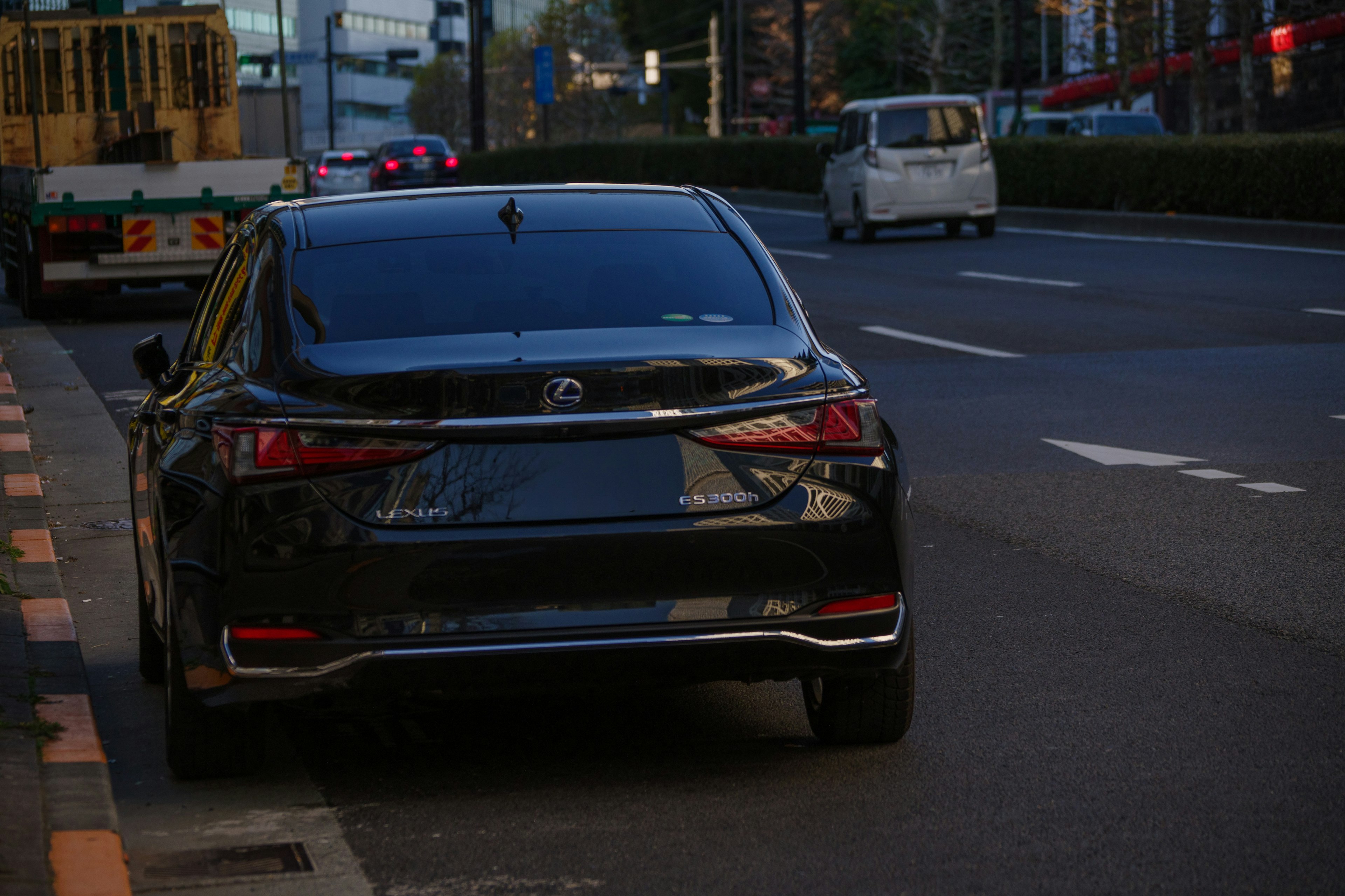 一輛黑色汽車停在路邊，背景是城市風景