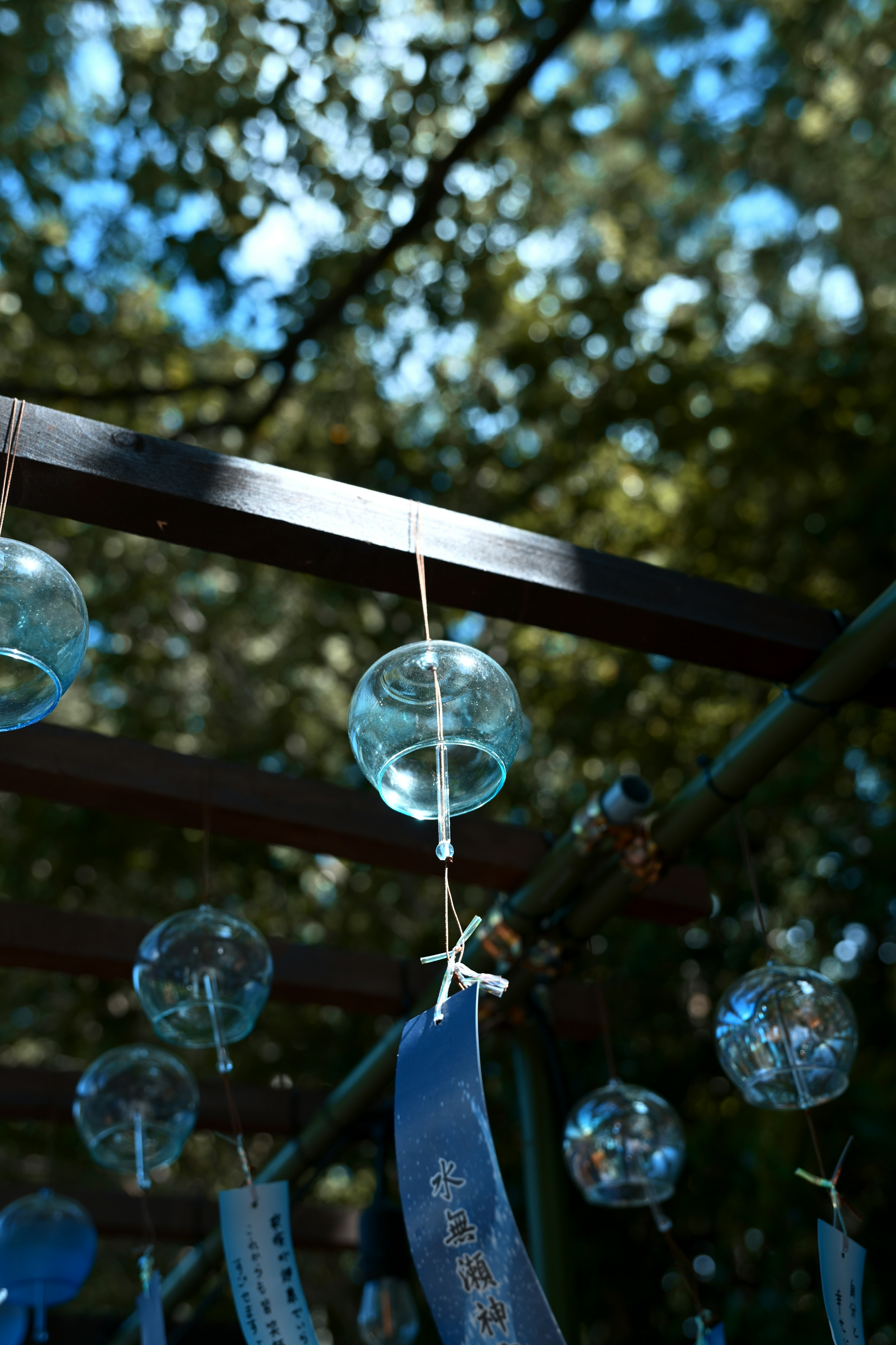 Campane a vento blu appese sotto un albero