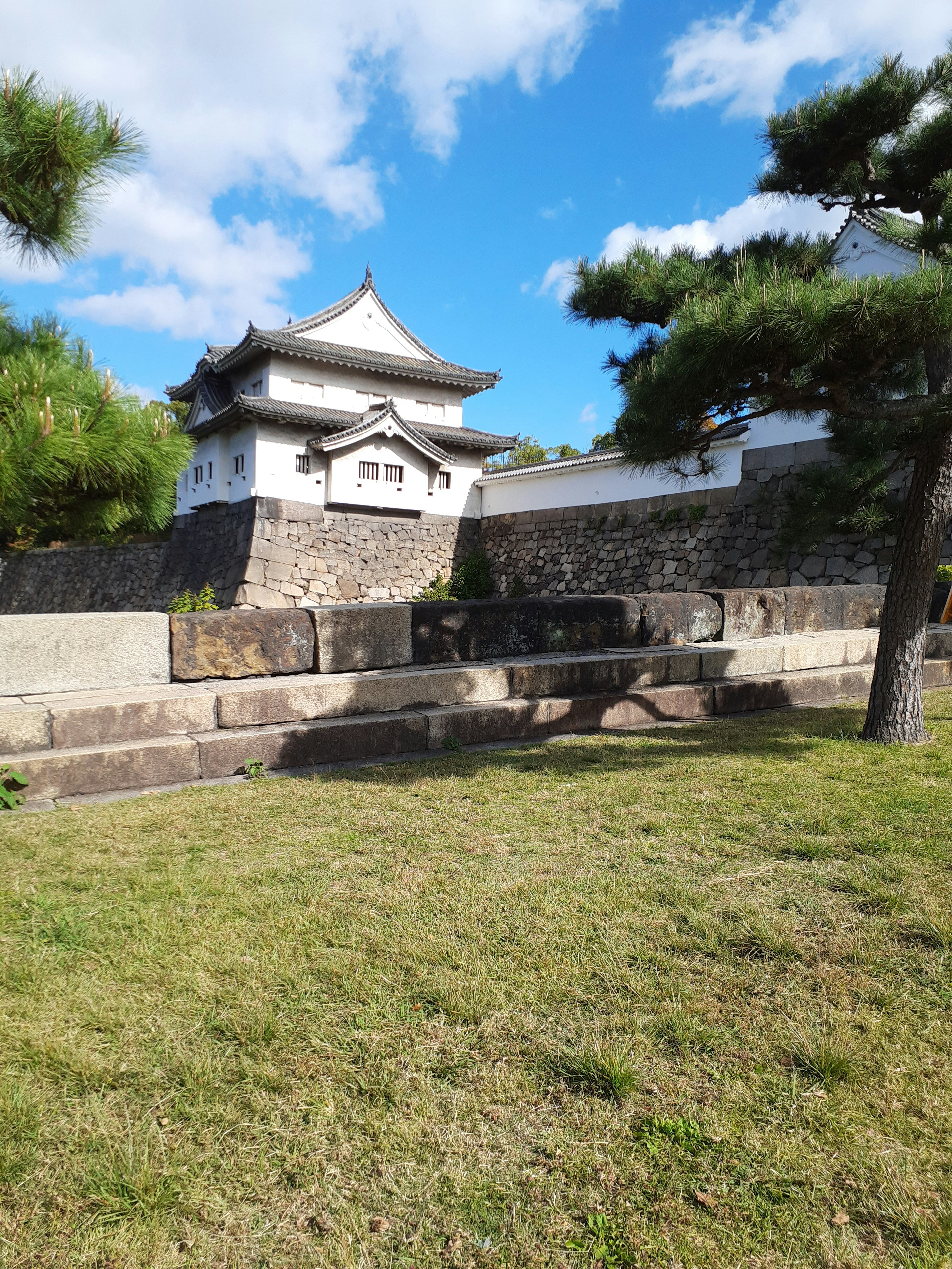 Stone wall of a castle under a blue sky with pine trees