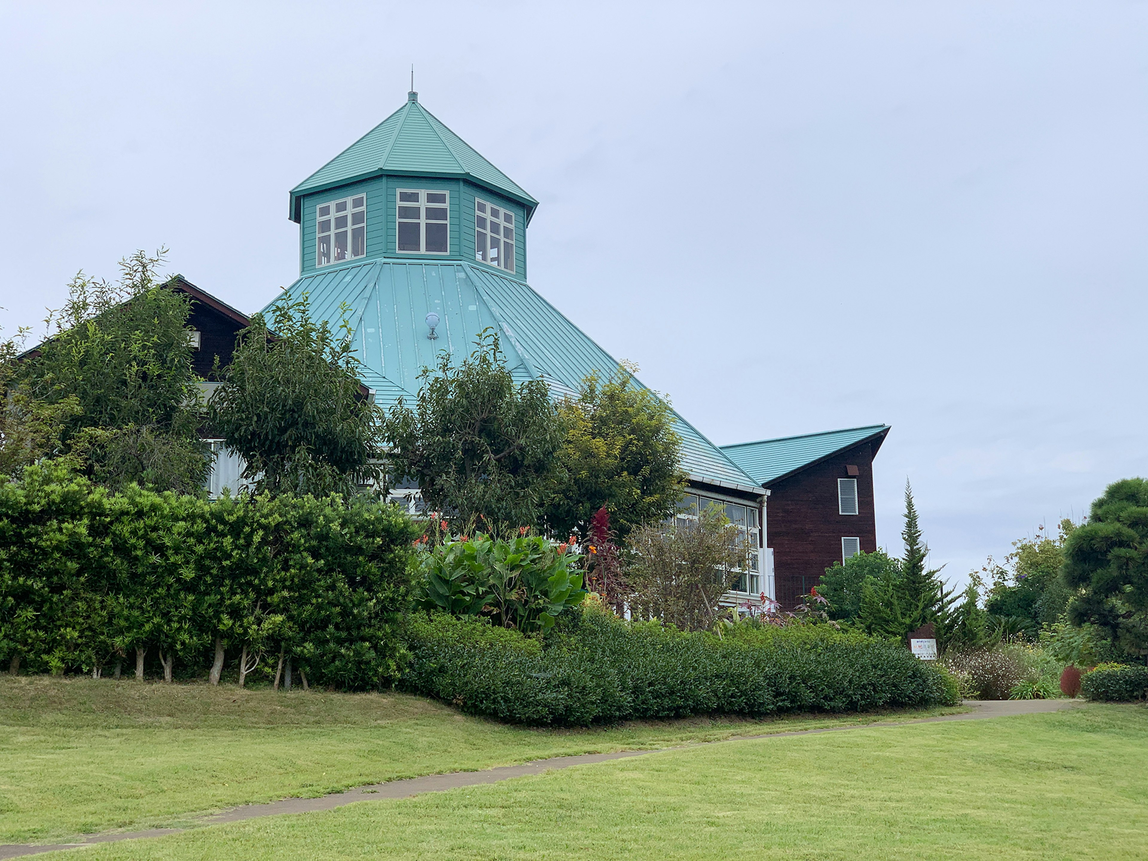 Unique building with a green roof surrounded by lush greenery