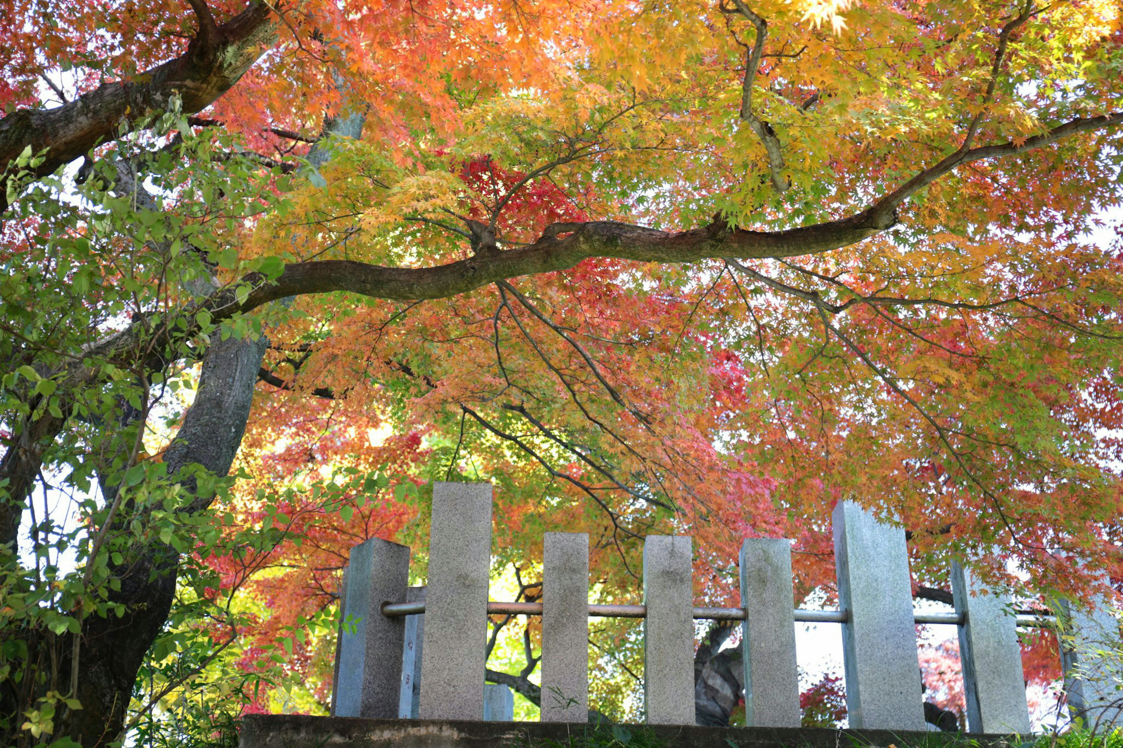 鮮やかな紅葉に囲まれた現代的な彫刻作品