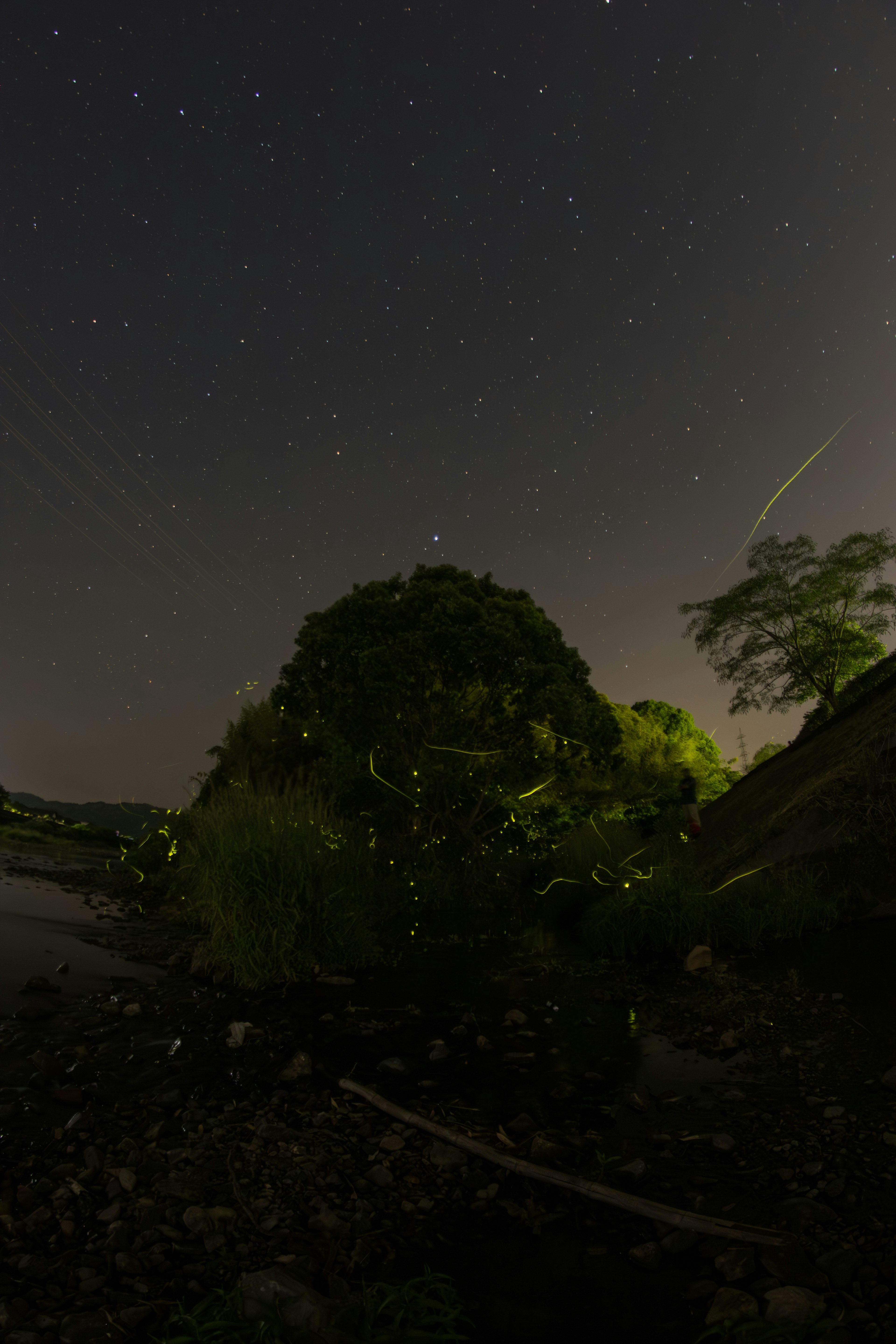 Night sky filled with stars featuring a glowing green tree and a river