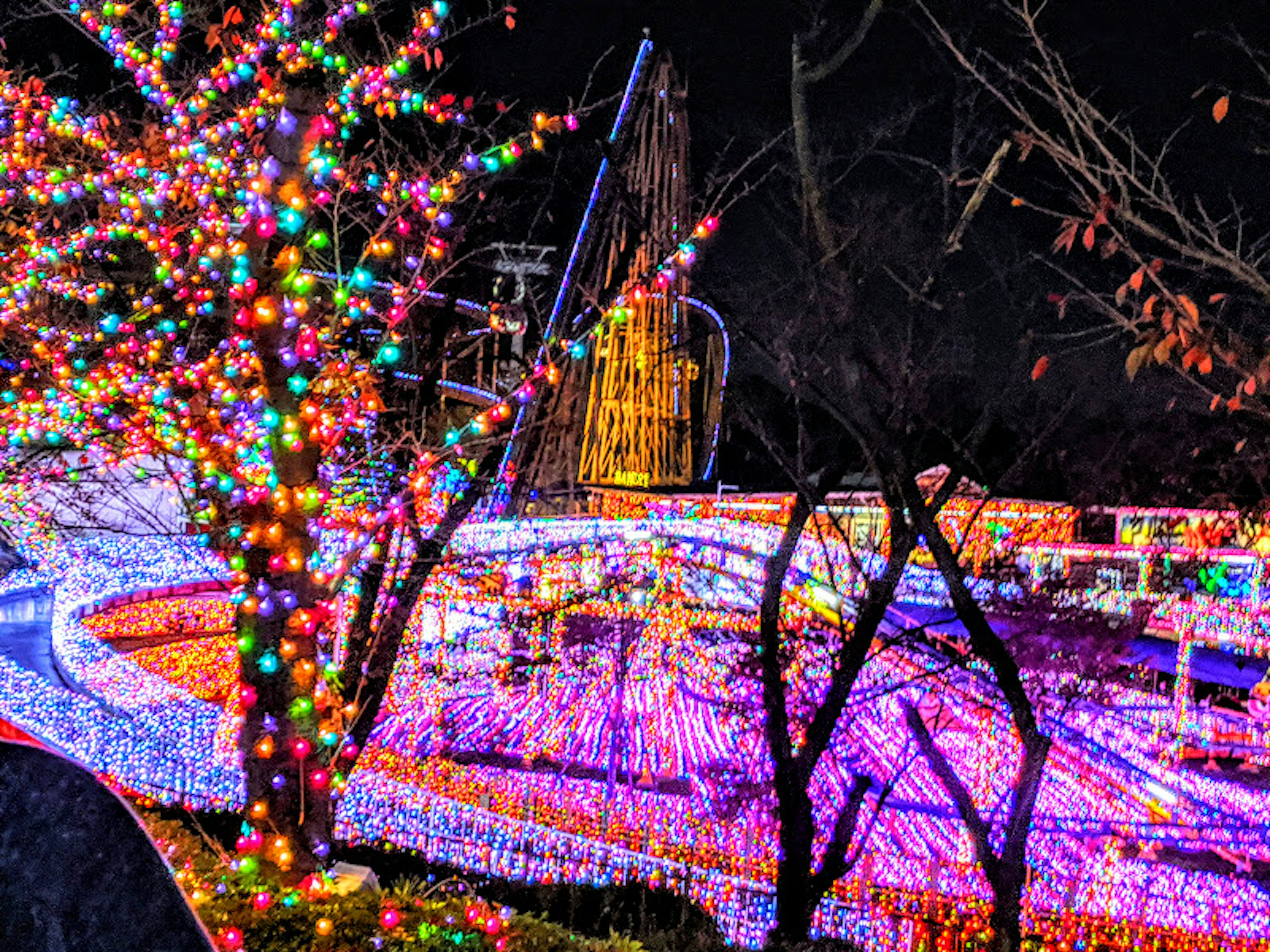 Una vivace scena notturna di un parco decorato con luci festive colorate