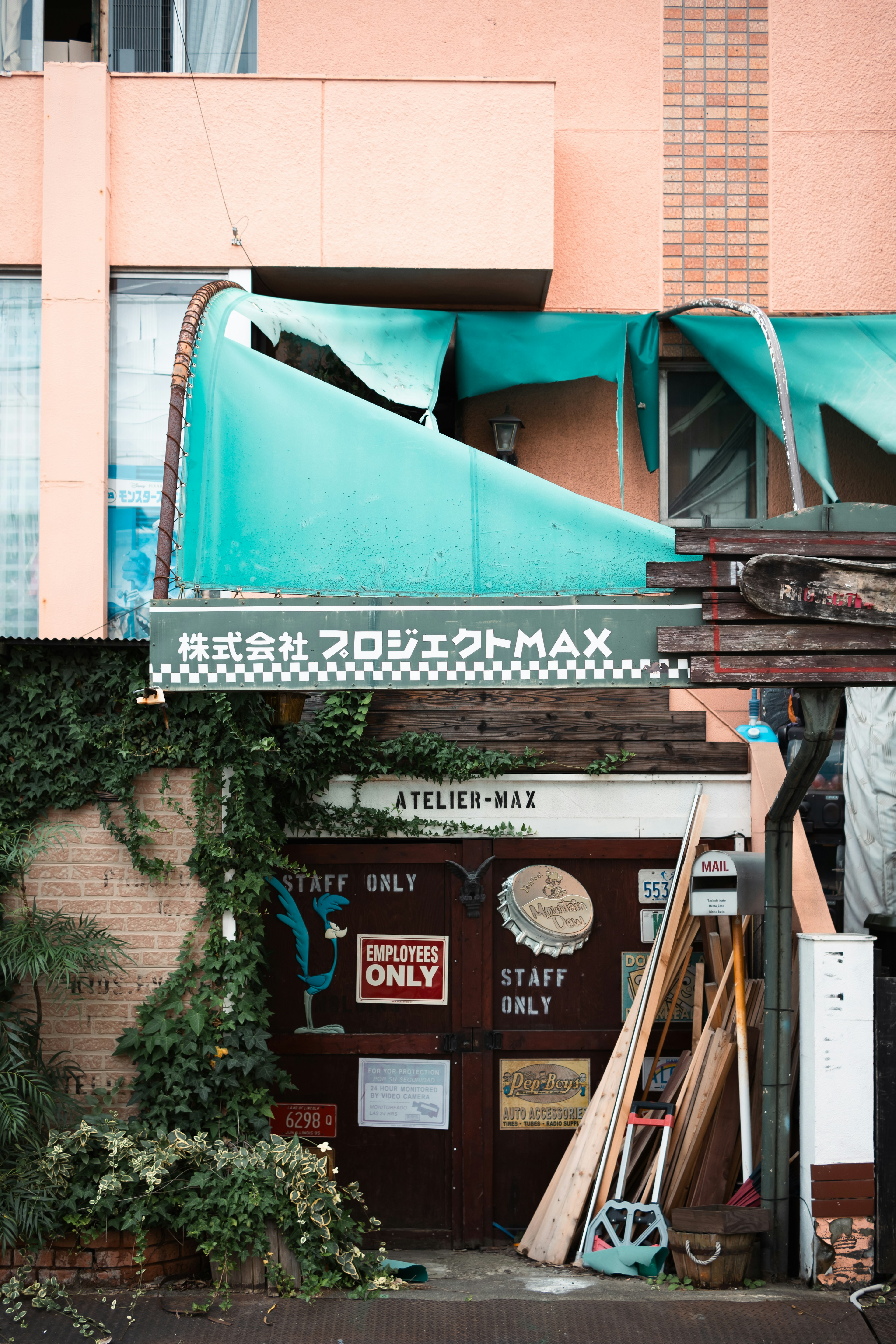 古い店舗の入口が見える写真 植物が絡みついている