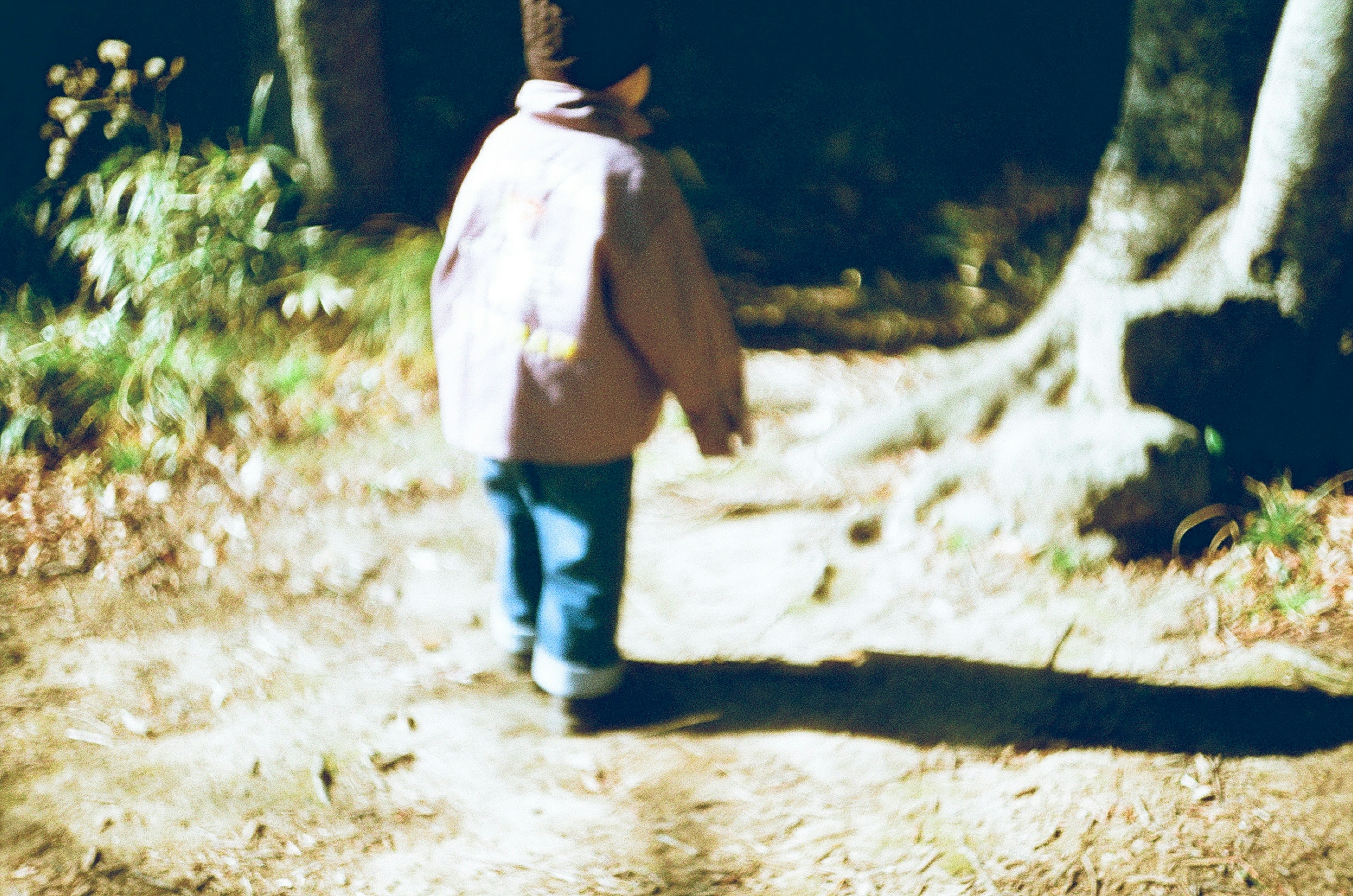 A child walking along a forest path surrounded by trees and nature