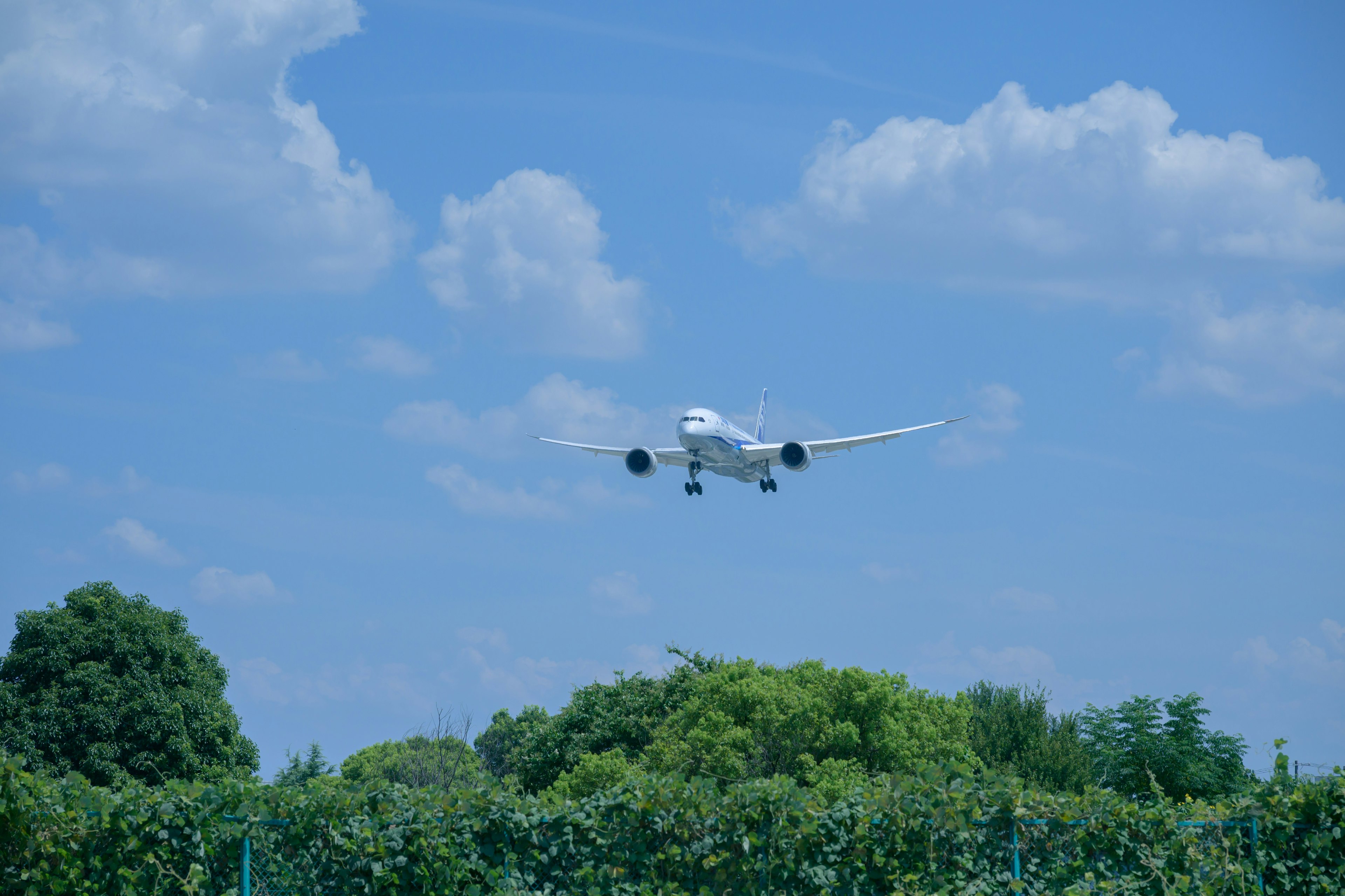 Un aereo in avvicinamento contro un cielo blu con nuvole soffici circondato da alberi verdi e vigneti