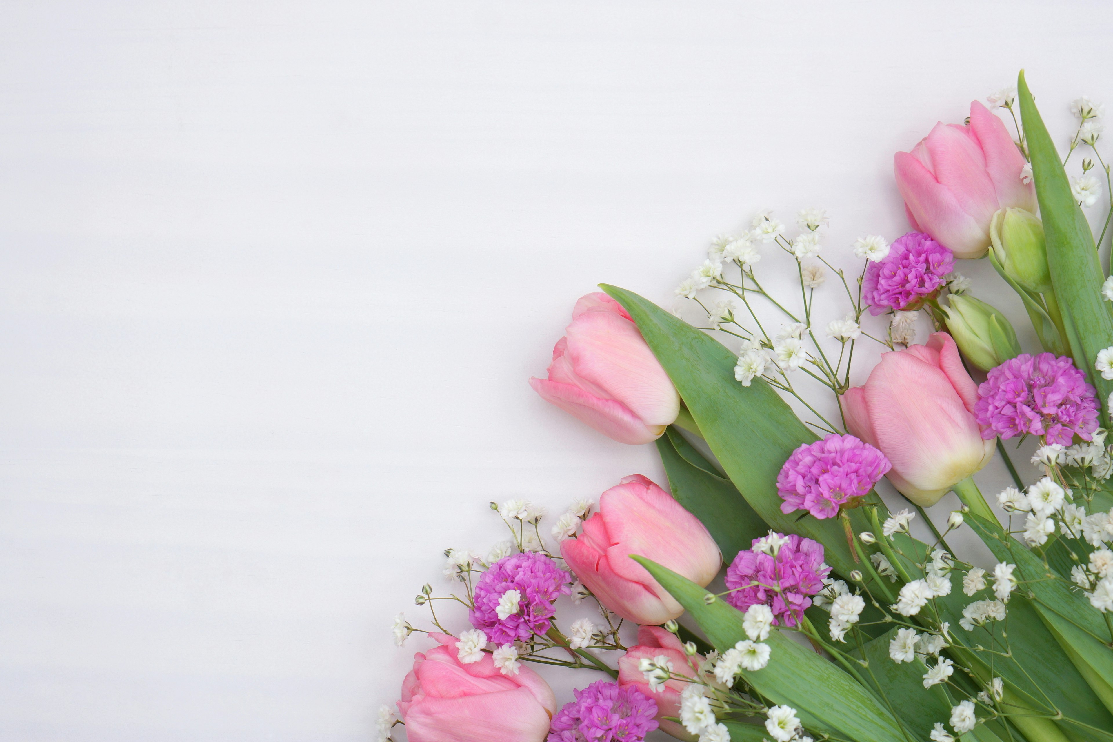 Anordnung von rosa Tulpen und kleinen weißen Blumen