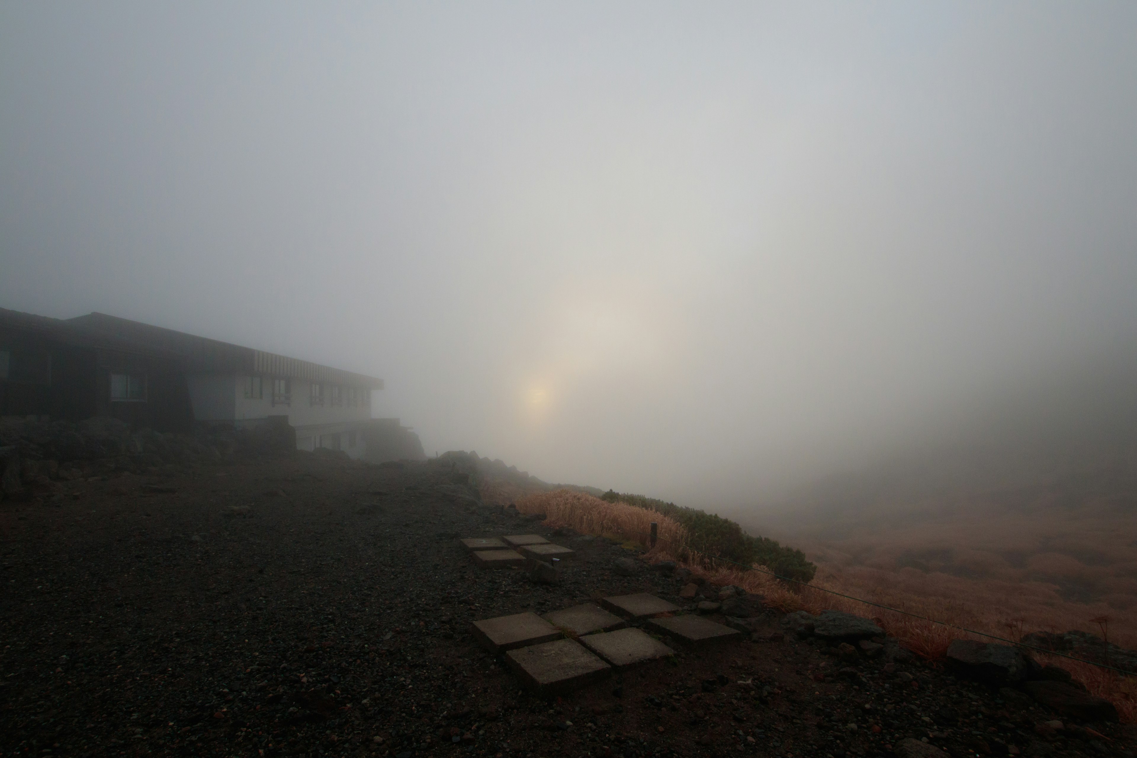 Paesaggio nebbioso con una luce fioca che filtra