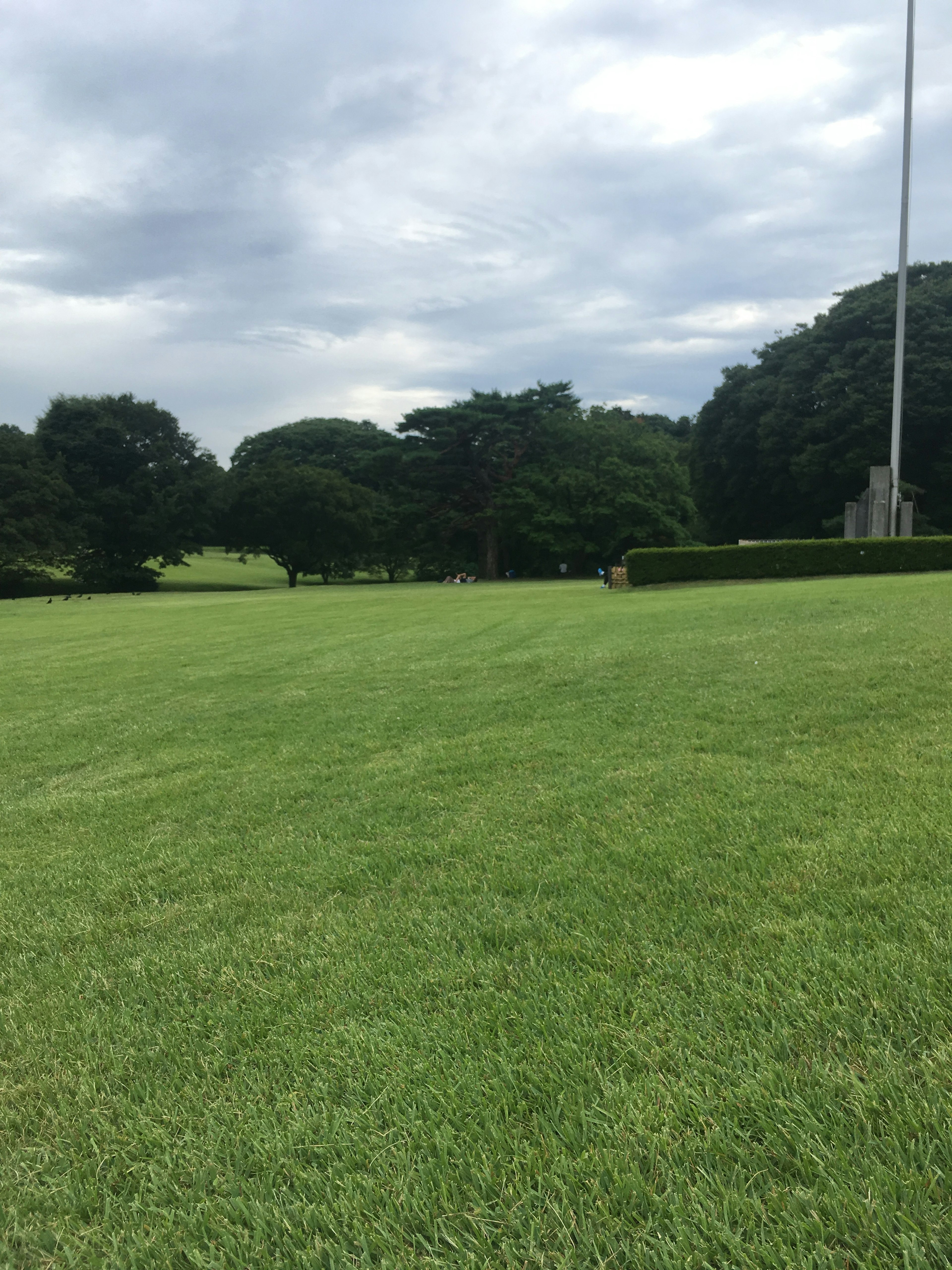 Grand gazon vert avec des arbres dans un parc