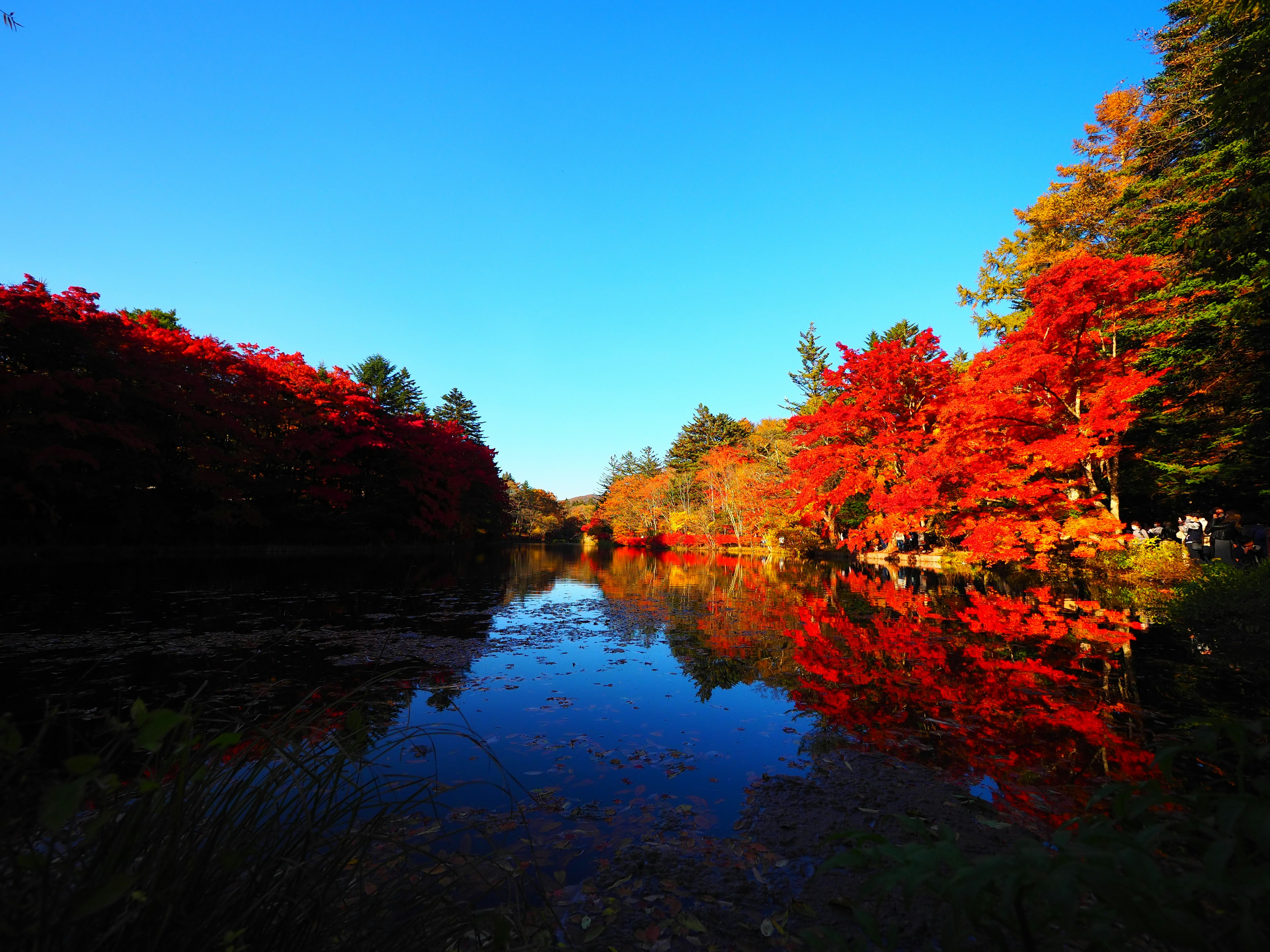 Ruhige Flusslandschaft mit klarem blauen Himmel und lebhaften Herbstblättern