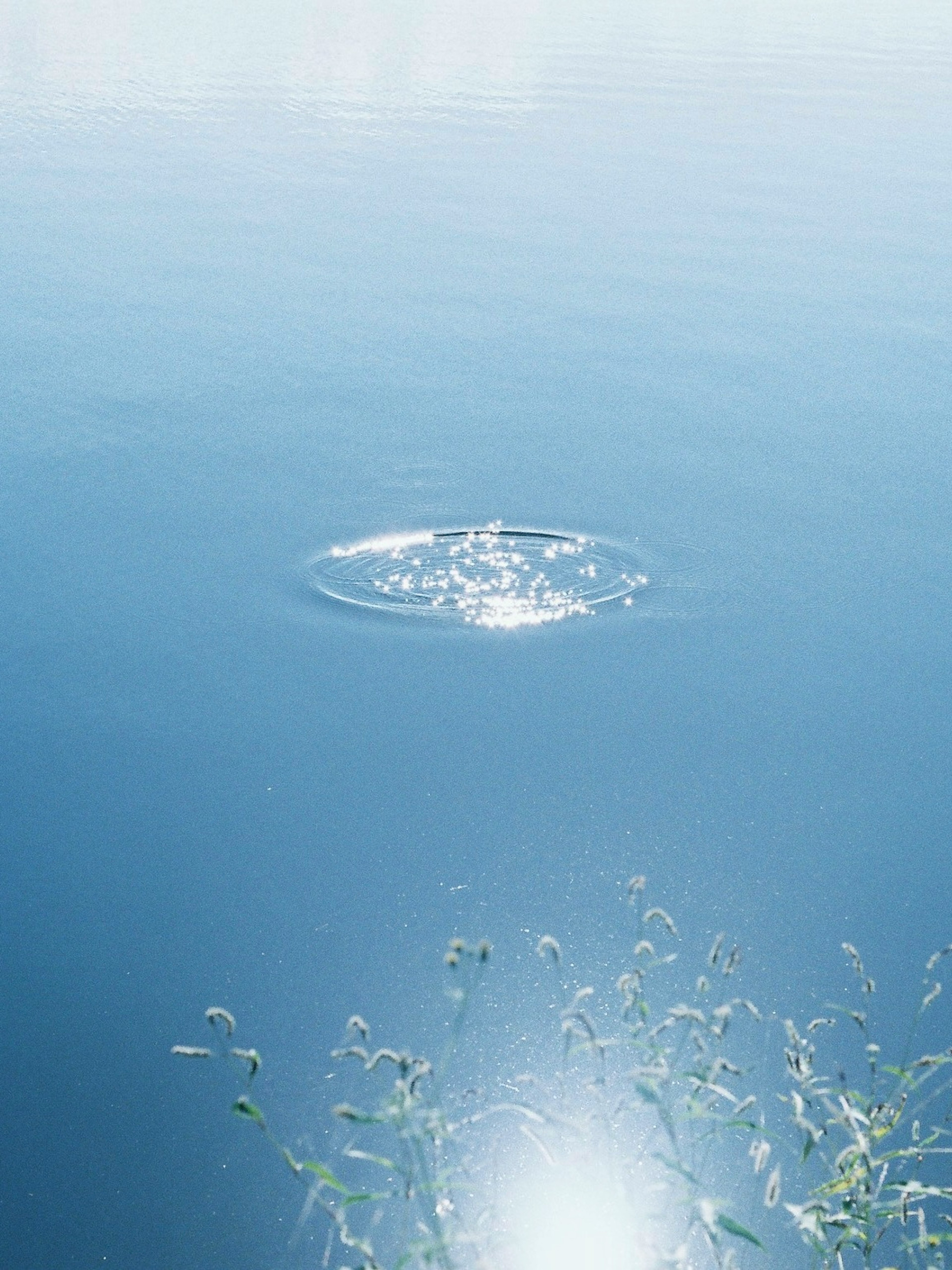 穏やかな水面に小さな波紋が広がる静かな水景