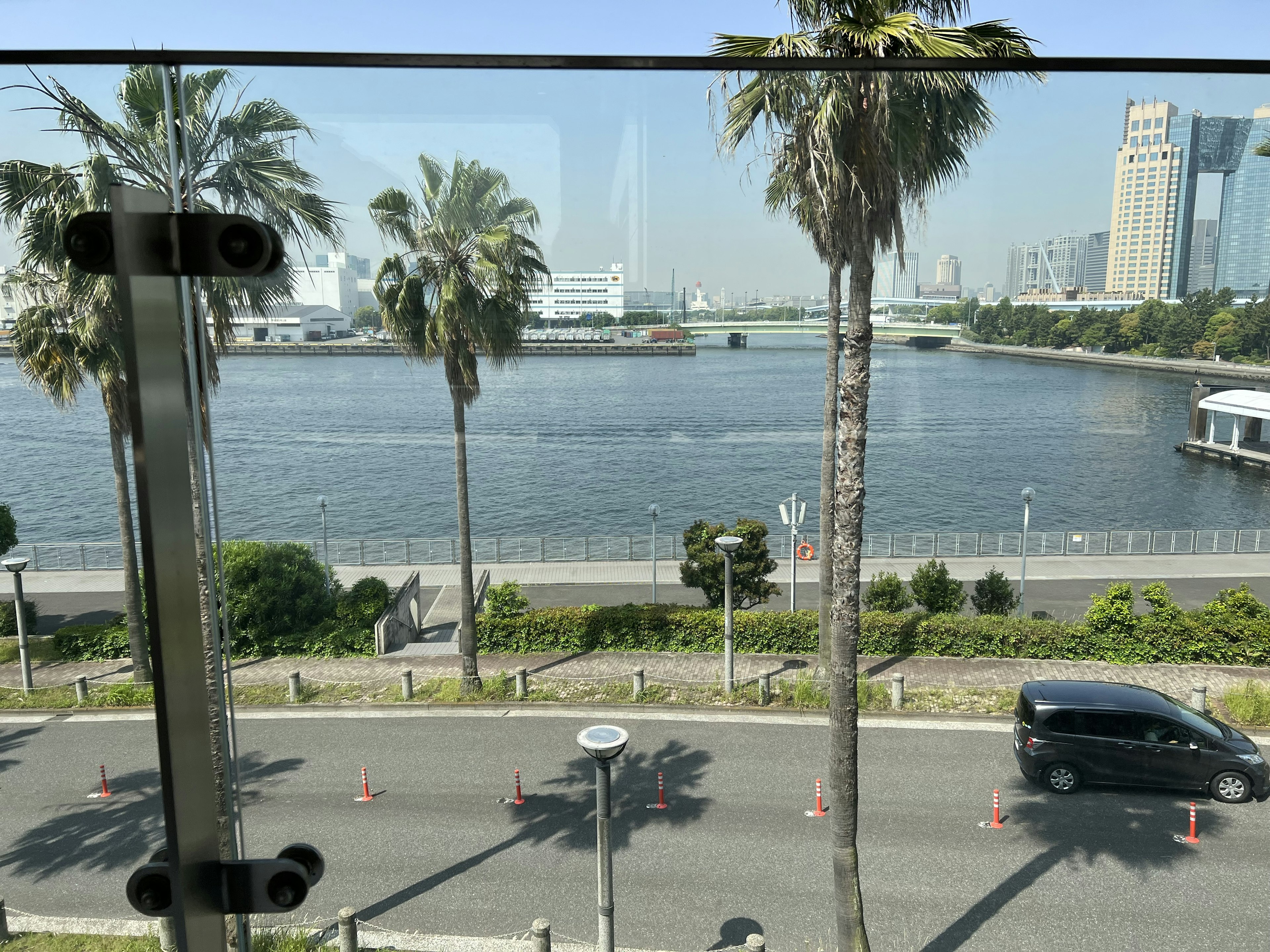 Cityscape featuring a river and palm trees