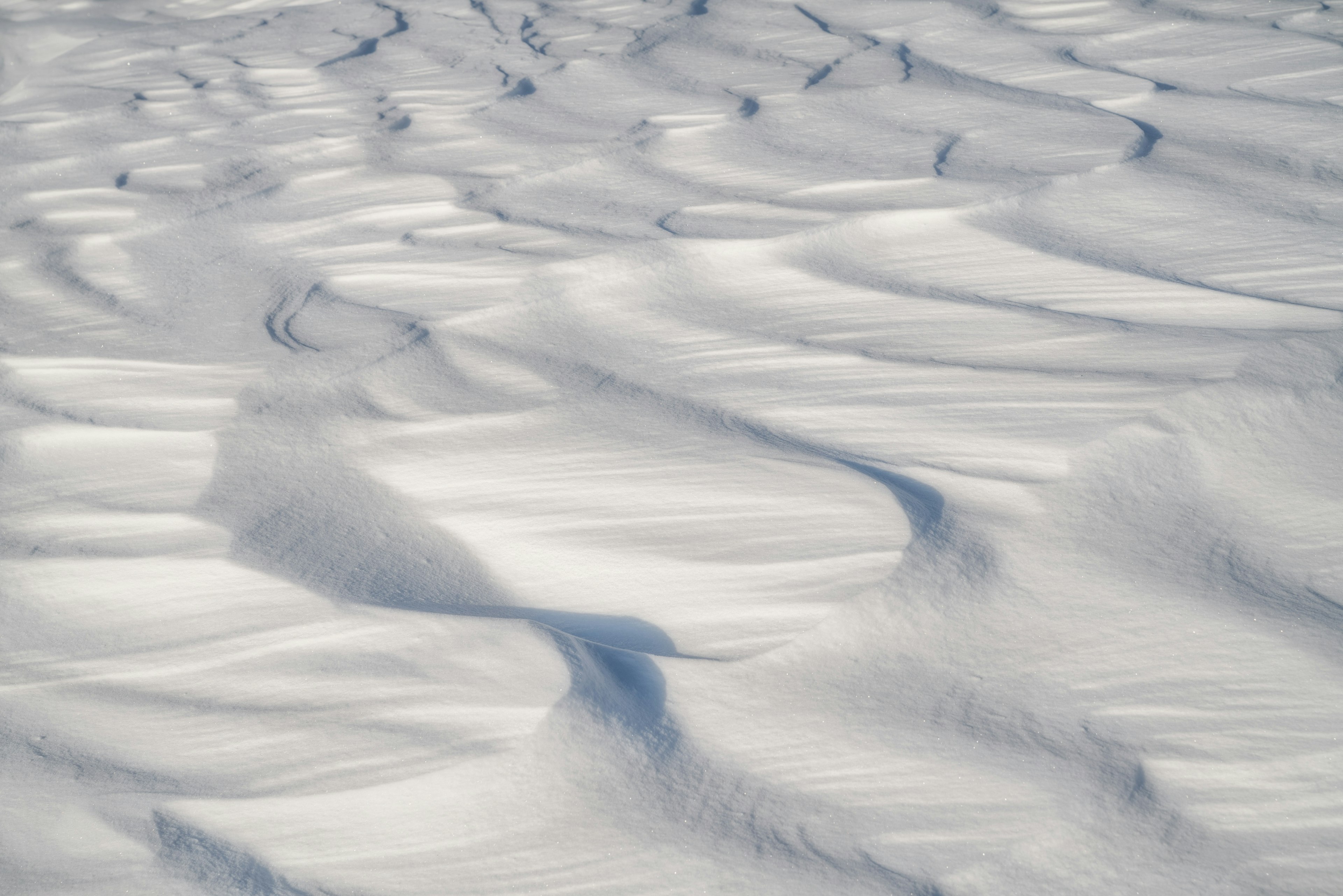 Modelli ondulati lisci su una superficie coperta di neve