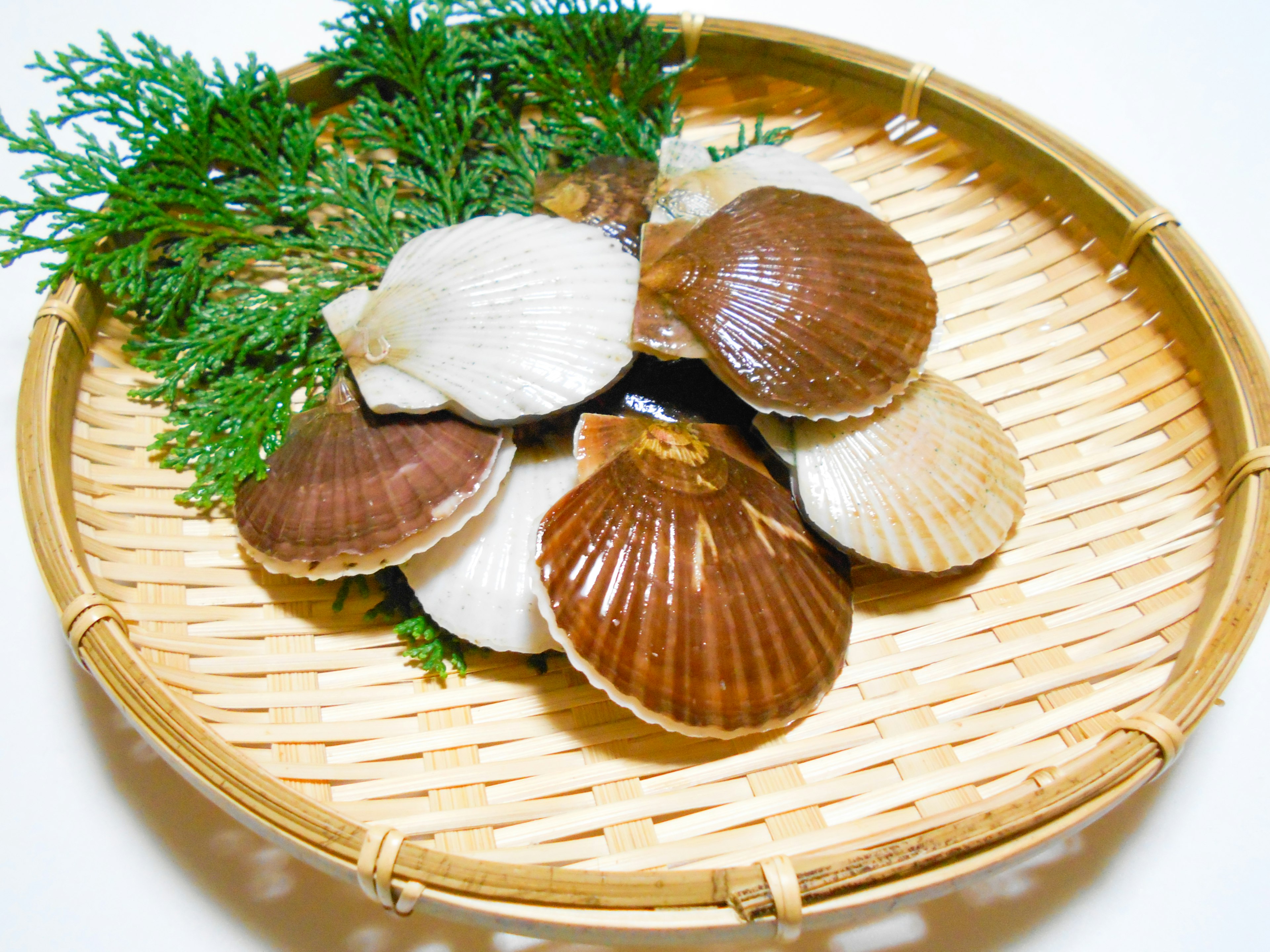 Scallops arranged on a bamboo plate with green foliage