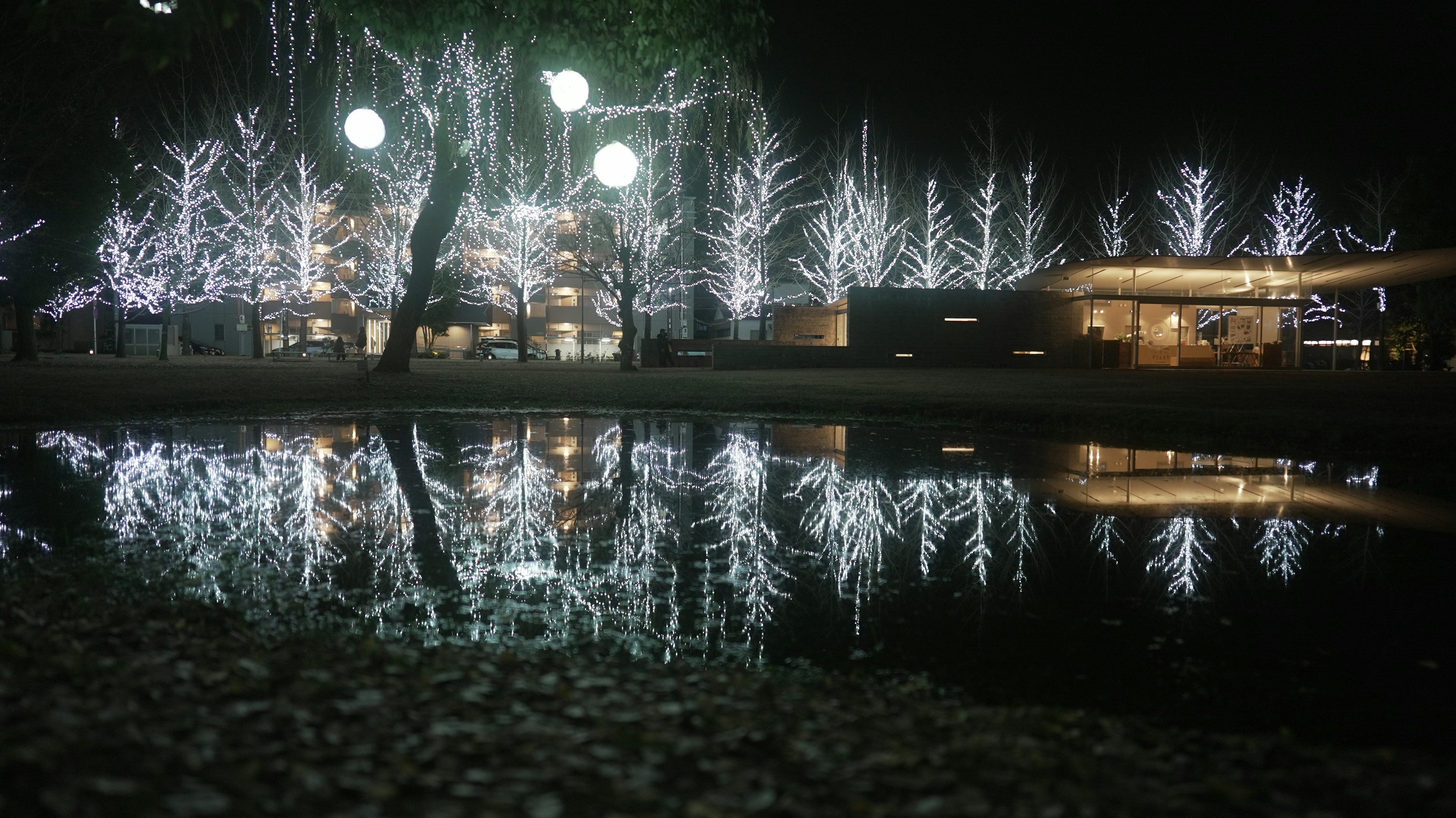 夜の公園に輝く白いイルミネーションと水面に映る景色