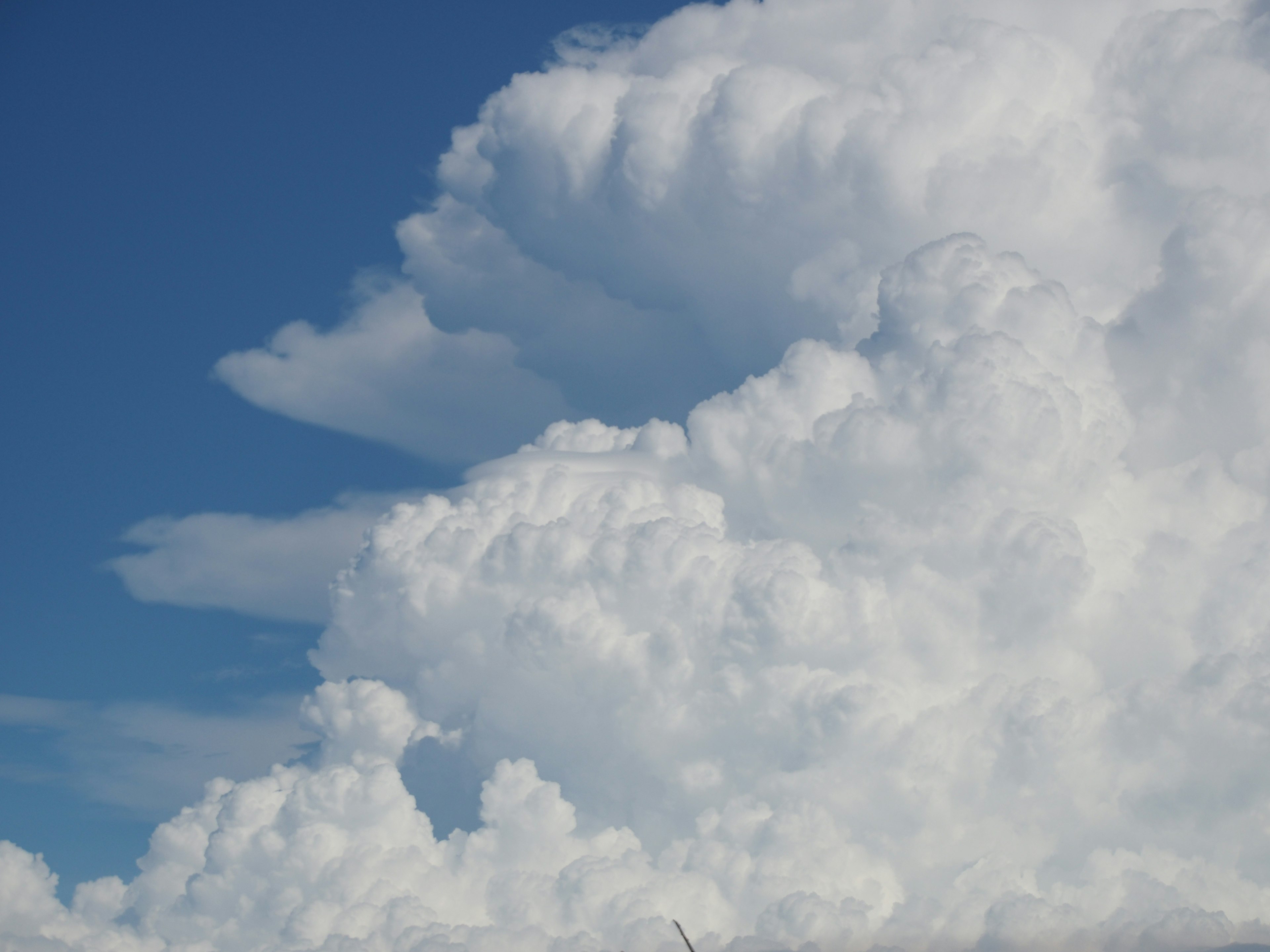 Flauschige weiße Wolken vor einem klaren blauen Himmel