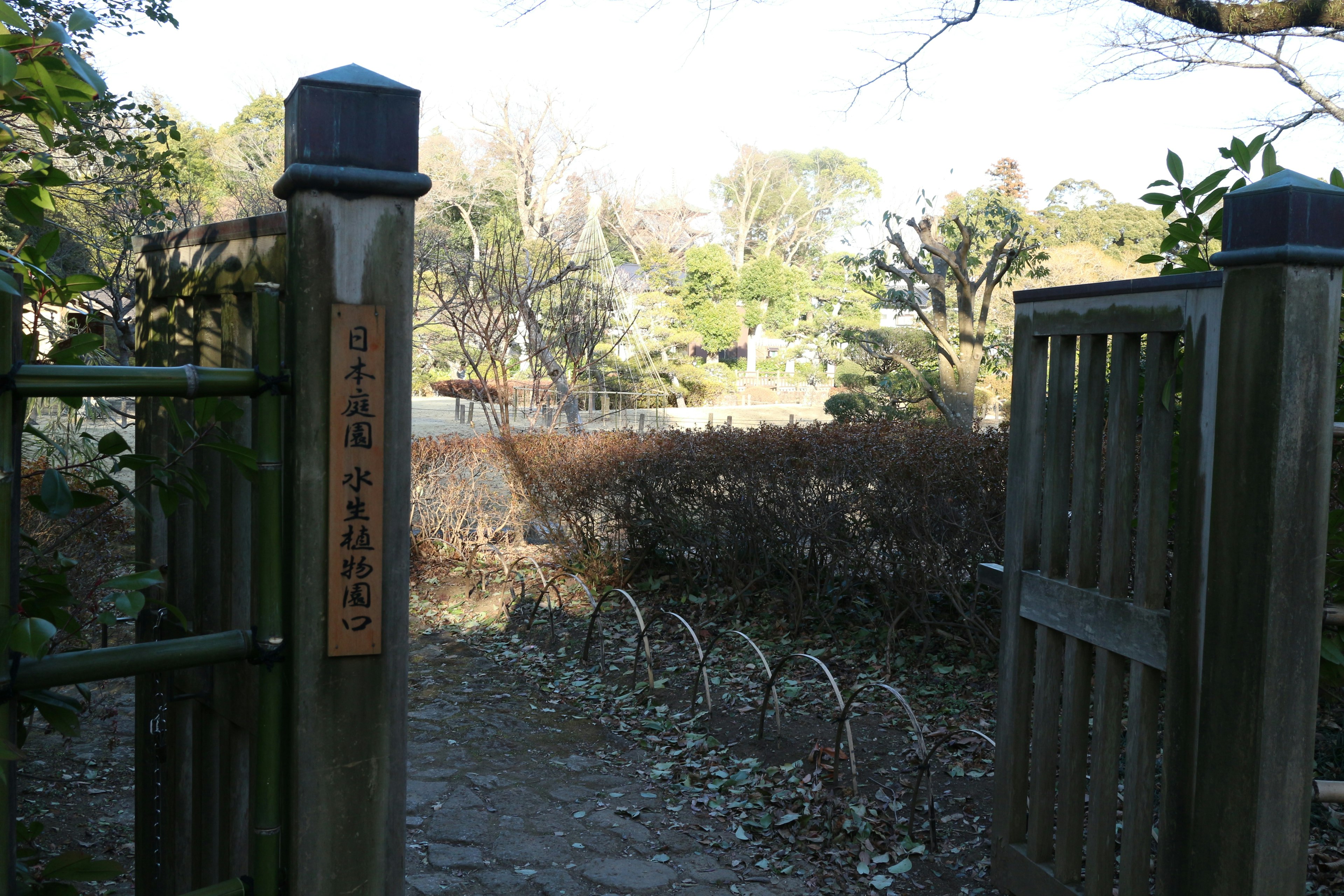 庭園の入り口のゲートが開いている風景