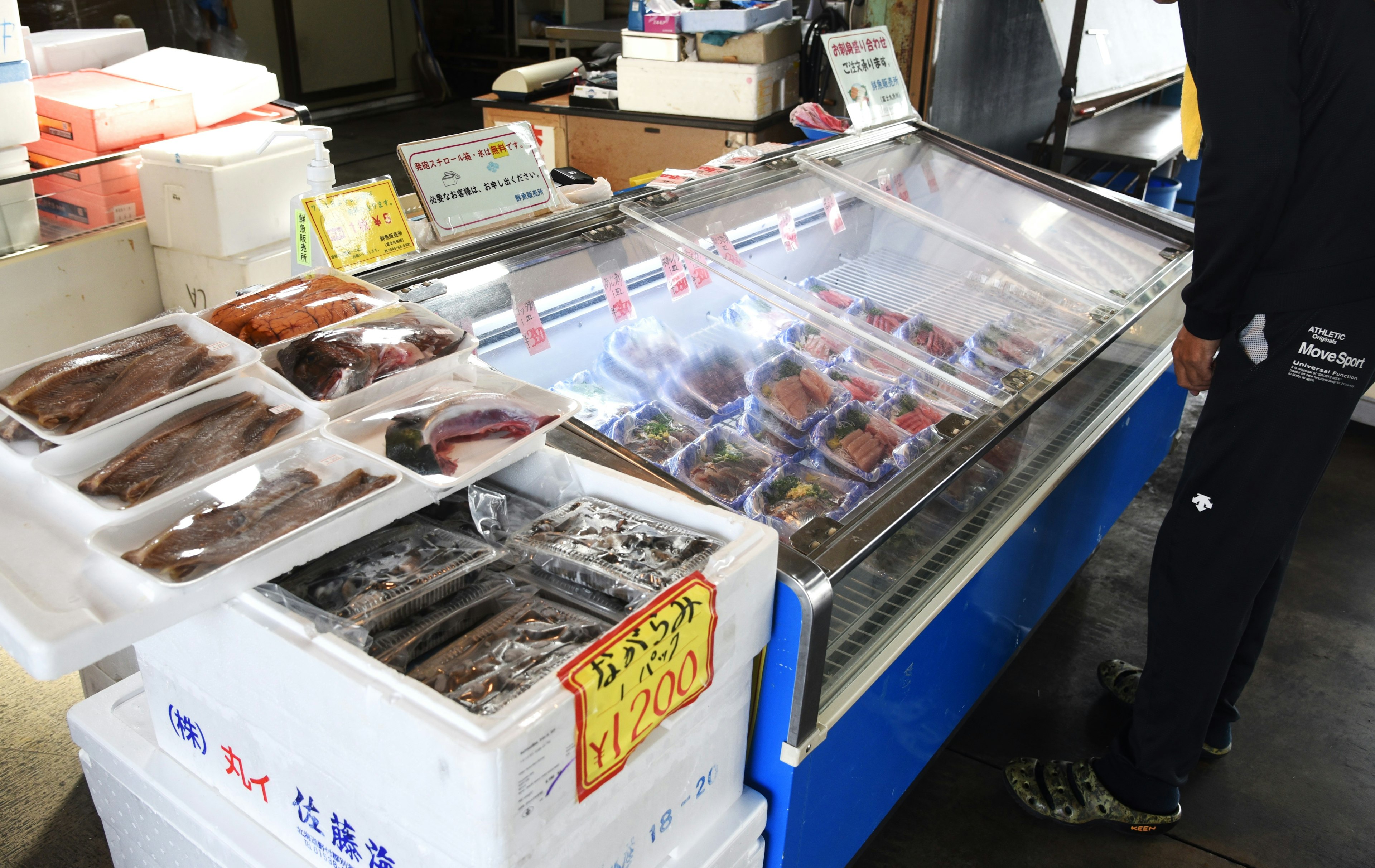 Exhibición de mariscos en un mercado mostrando varios tipos de mariscos