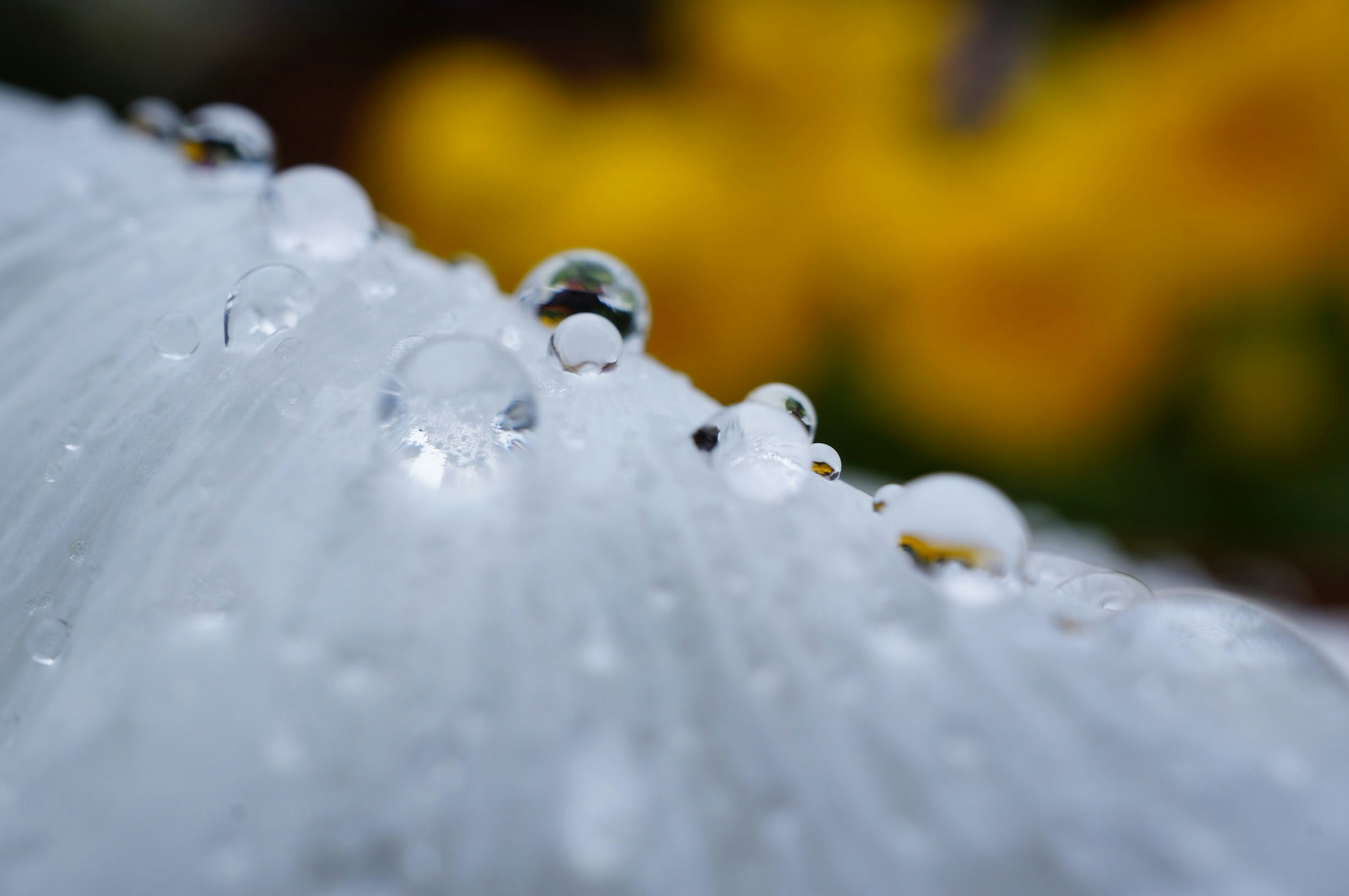 Nahaufnahme einer weißen Oberfläche mit Wassertropfen unscharfe gelbe Blumen im Hintergrund