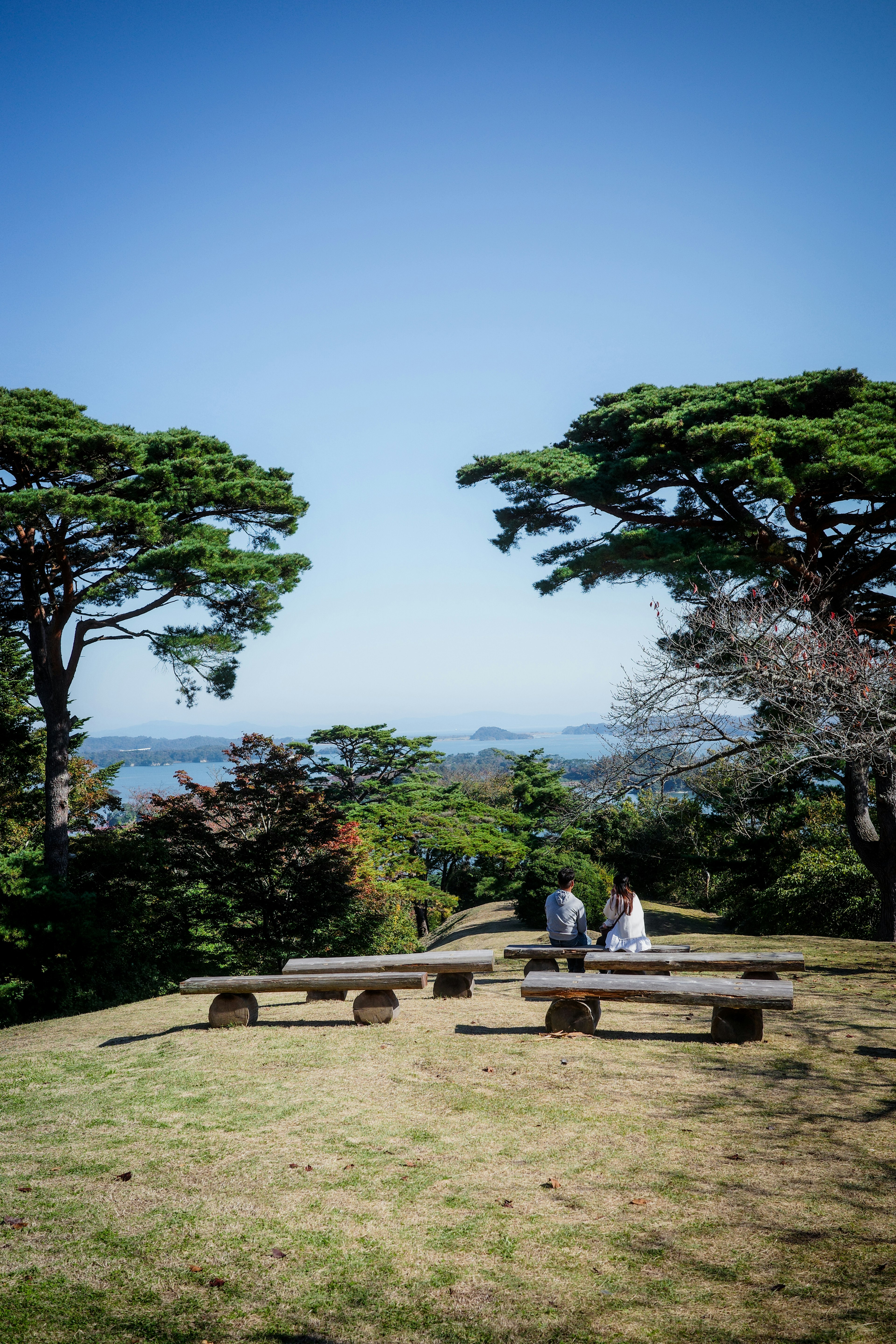 緑豊かな公園の丘の上に座っている二人の人と周囲の木々