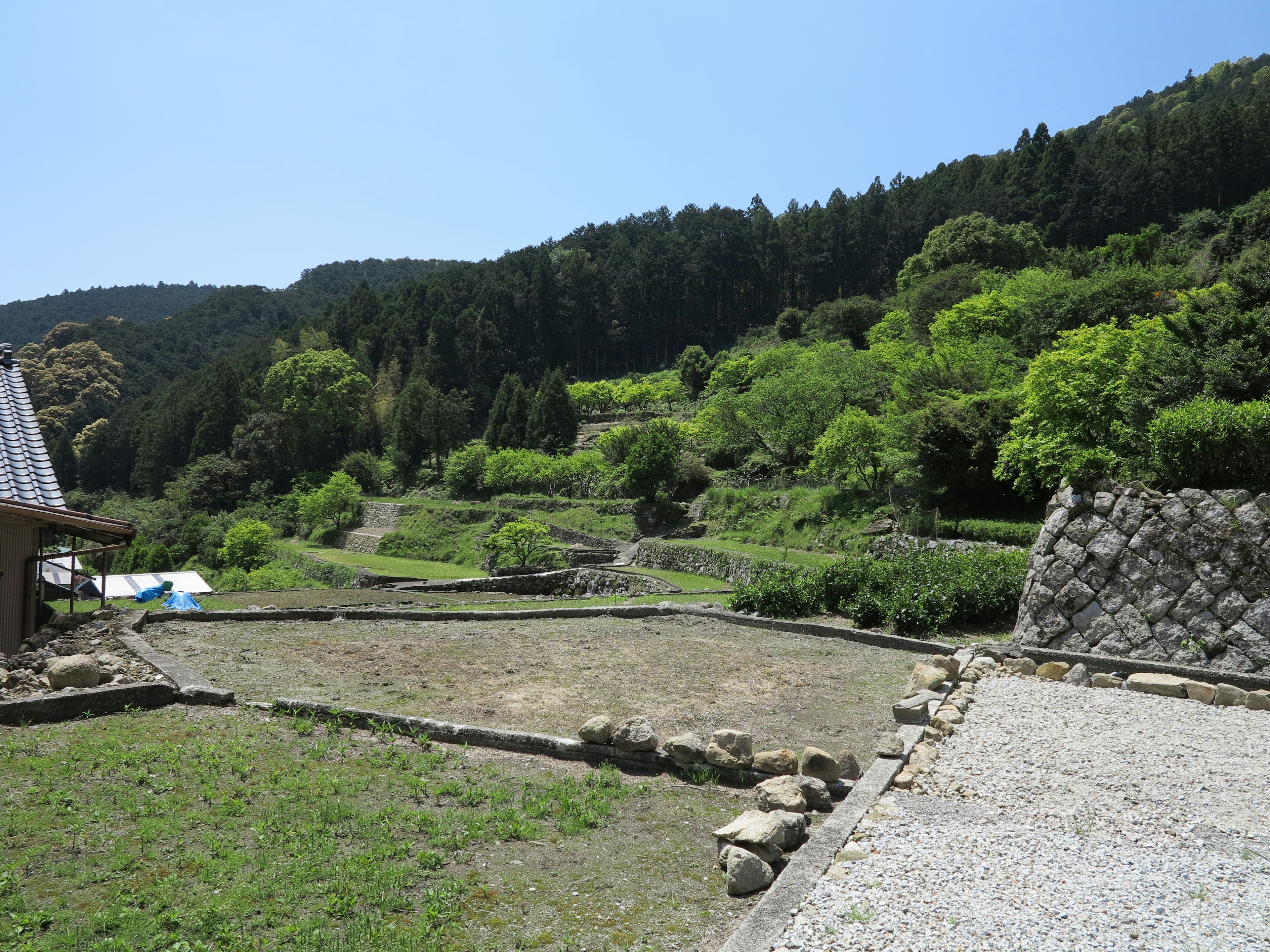 緑豊かな山々に囲まれた農地と石垣のある風景