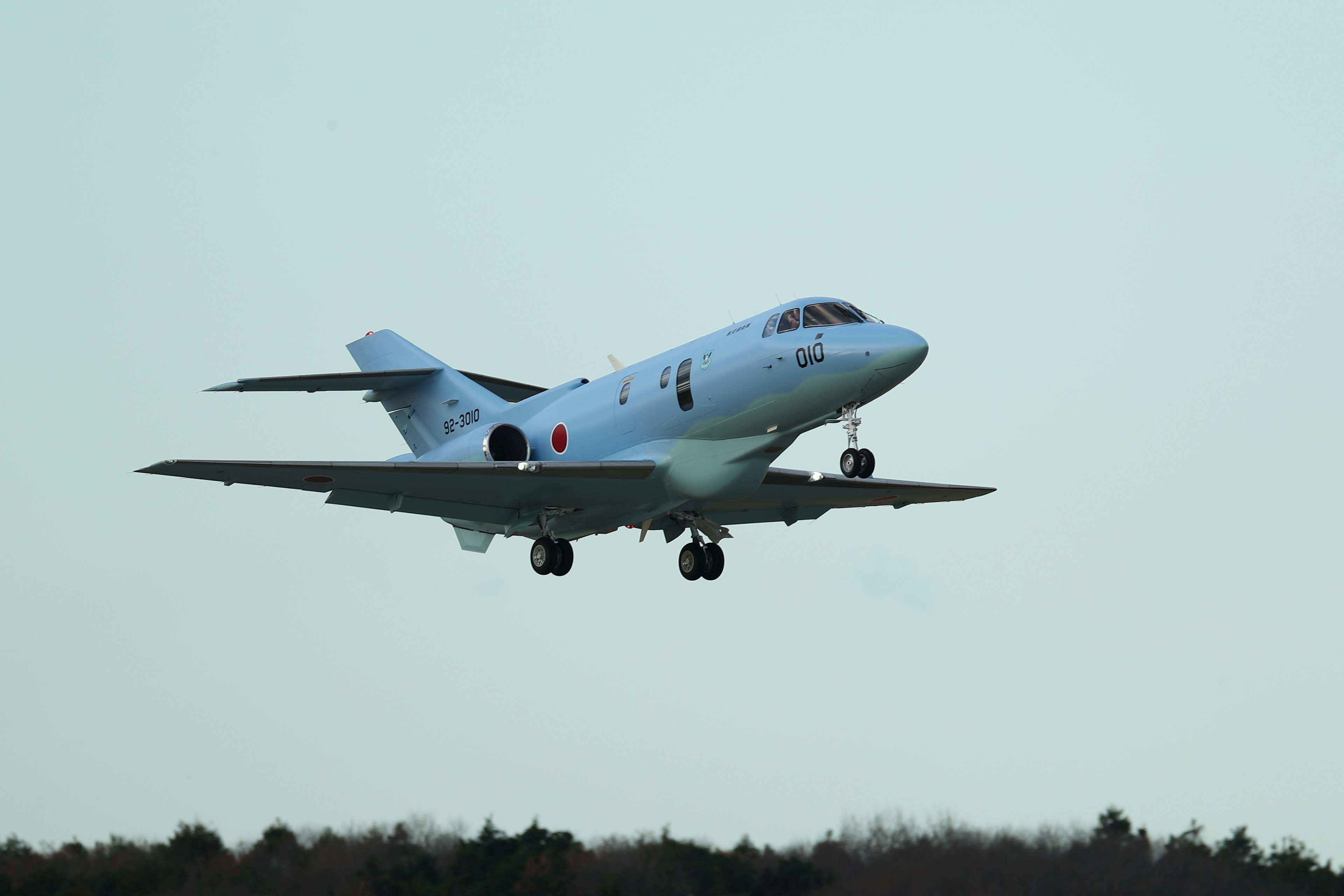 白い飛行機が空中を飛んでいる