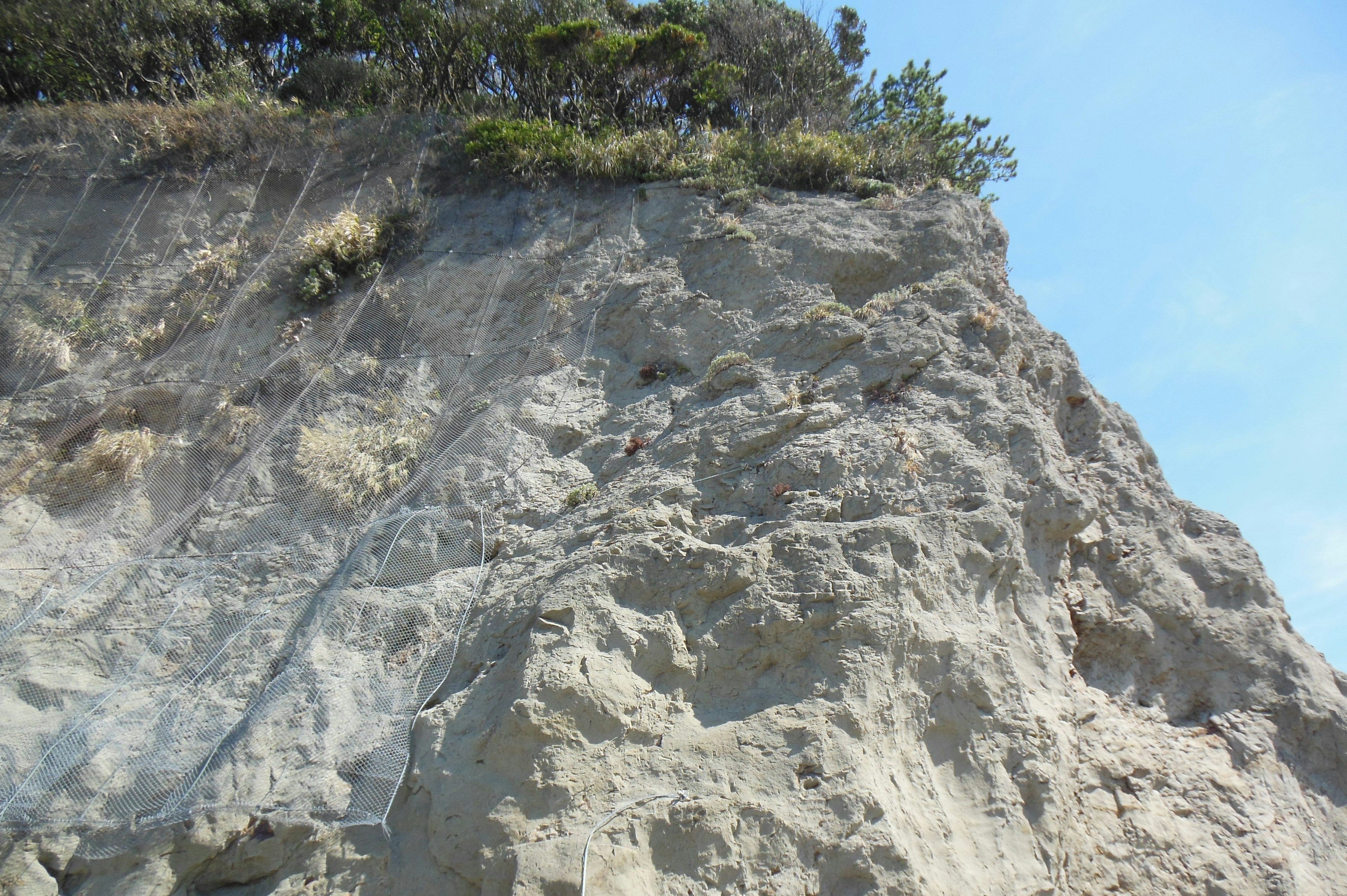 Scogliera rocciosa con vegetazione verde in cima