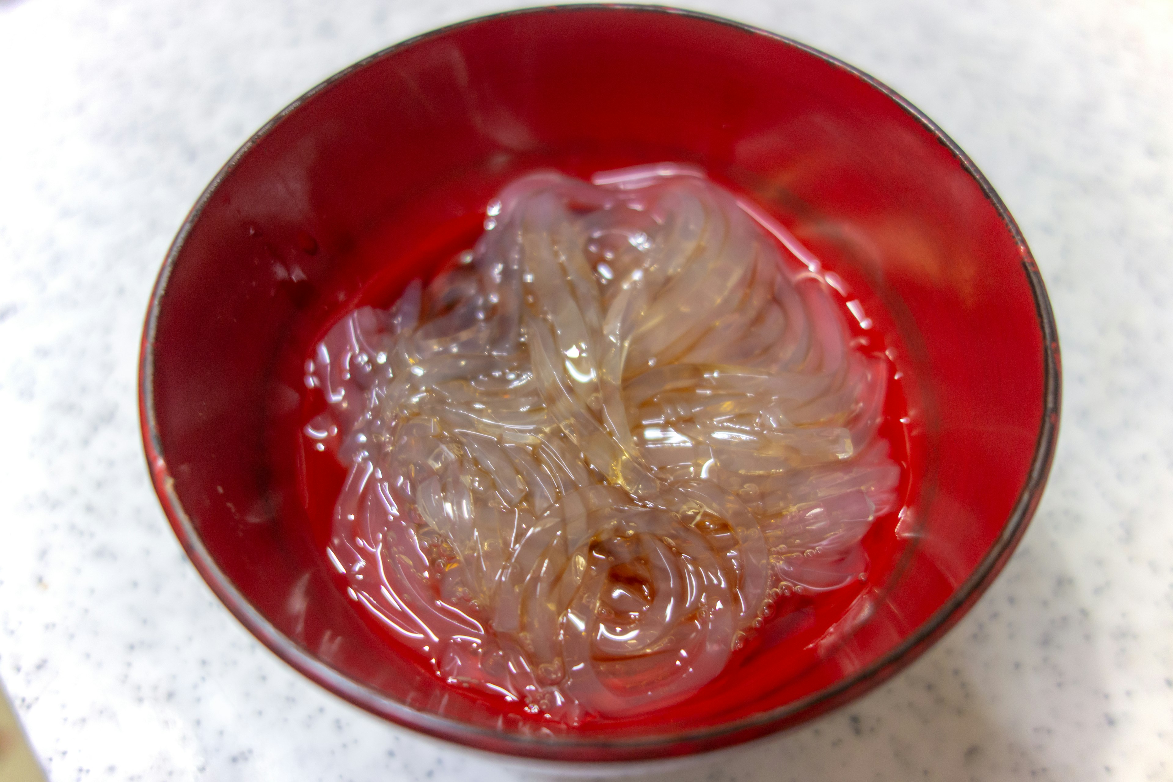 Transparent seaweed dessert in a red bowl