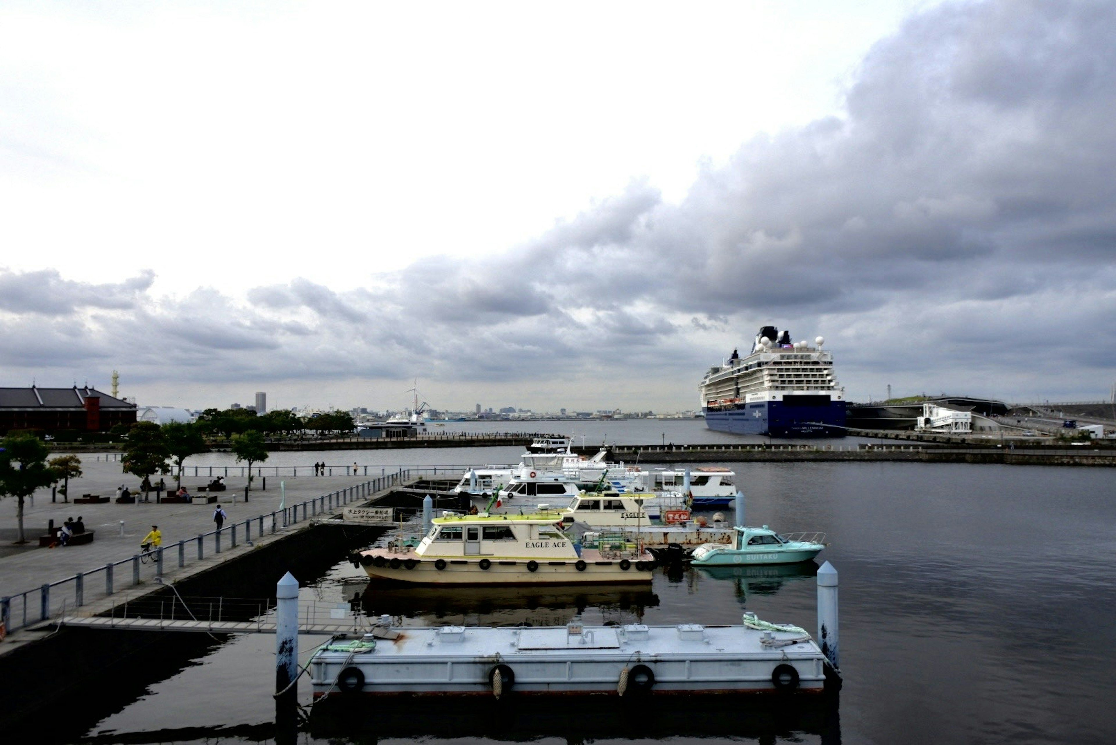 View of boats docked at a marina with a large ship in the background under a cloudy sky