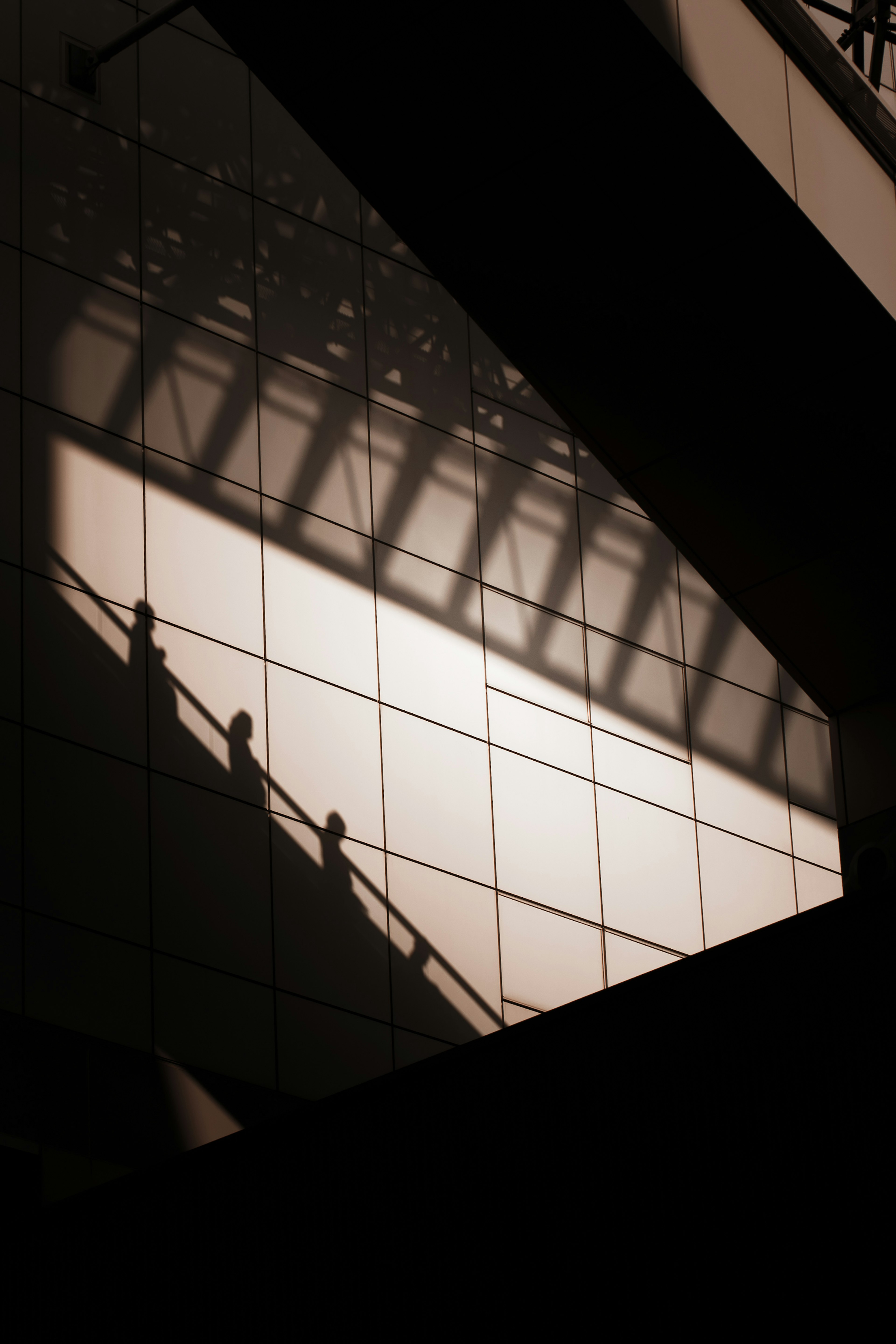 Silhouettes of people on stairs reflected in a modern building's glass