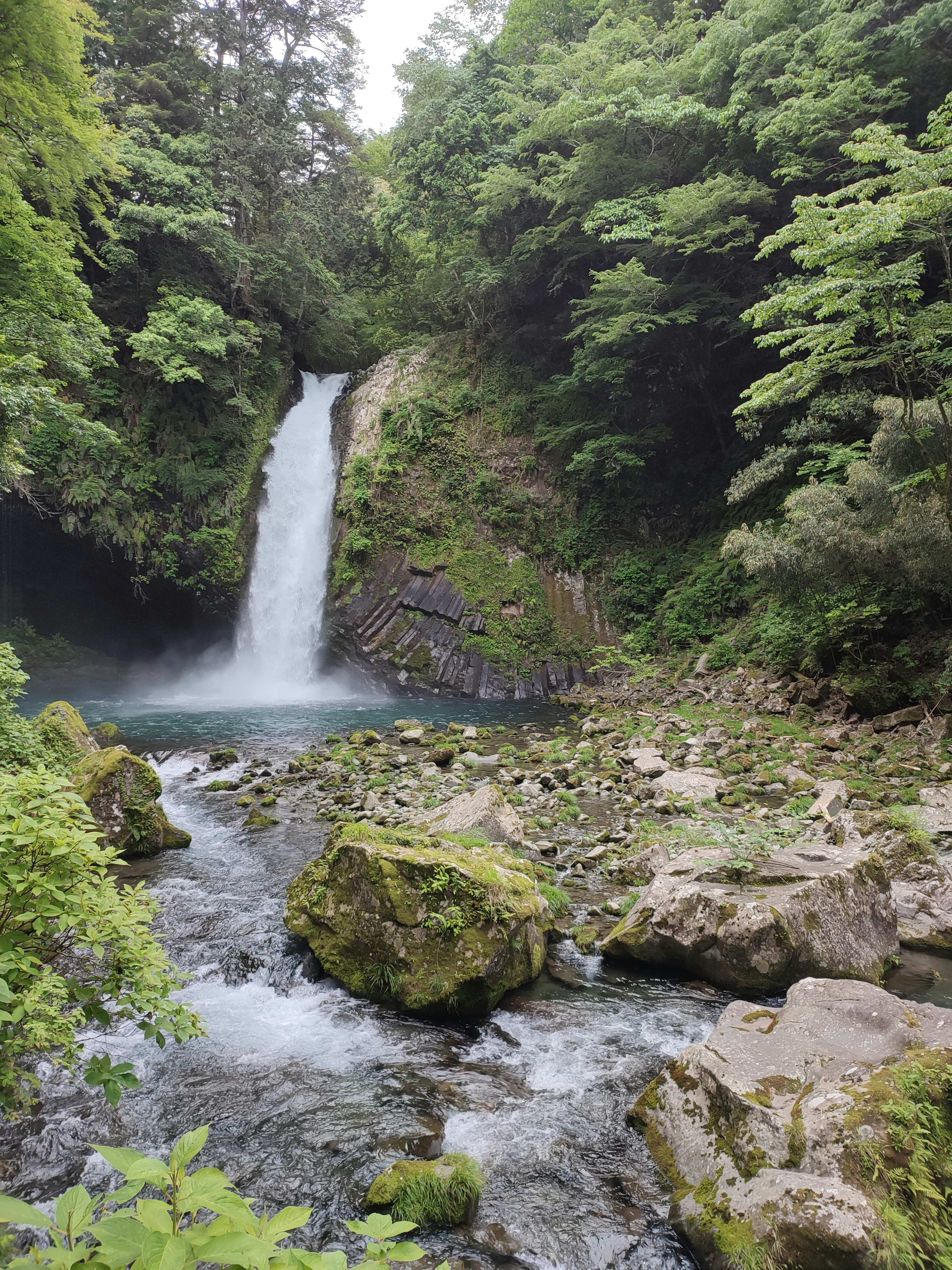 Una vista panoramica di una cascata circondata da alberi verdi lussureggianti e un ruscello