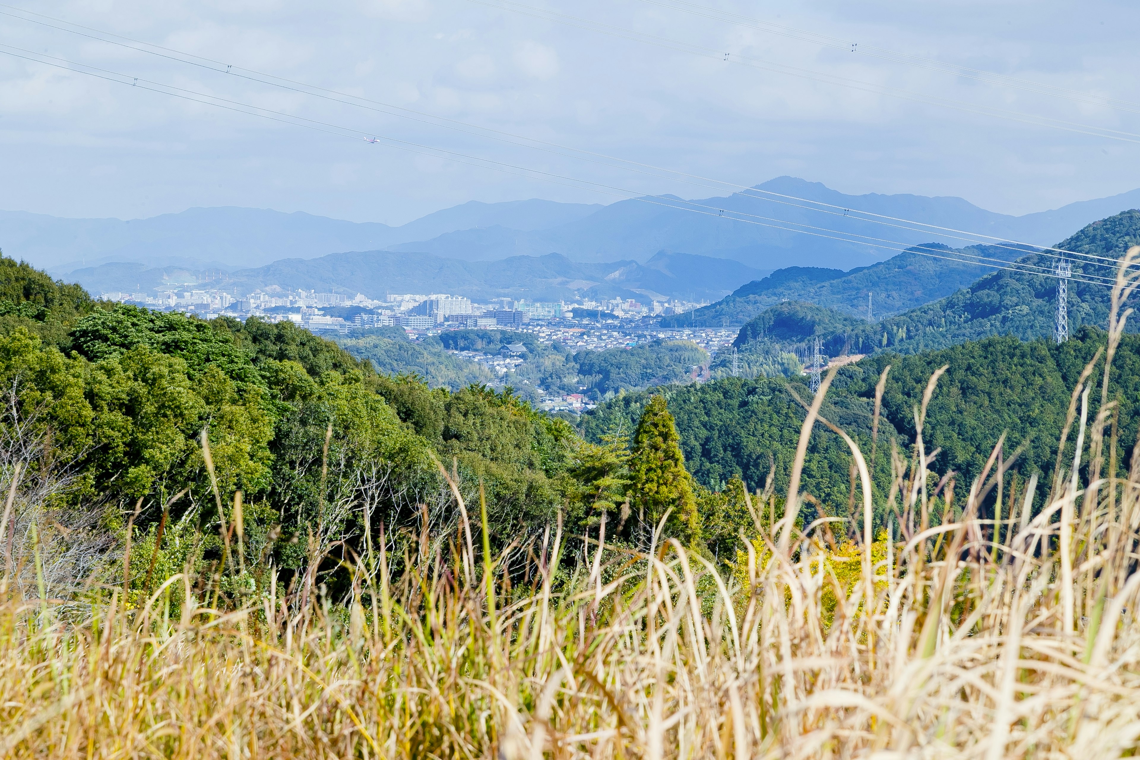 Vista panoramica di montagne blu e alberi verdi