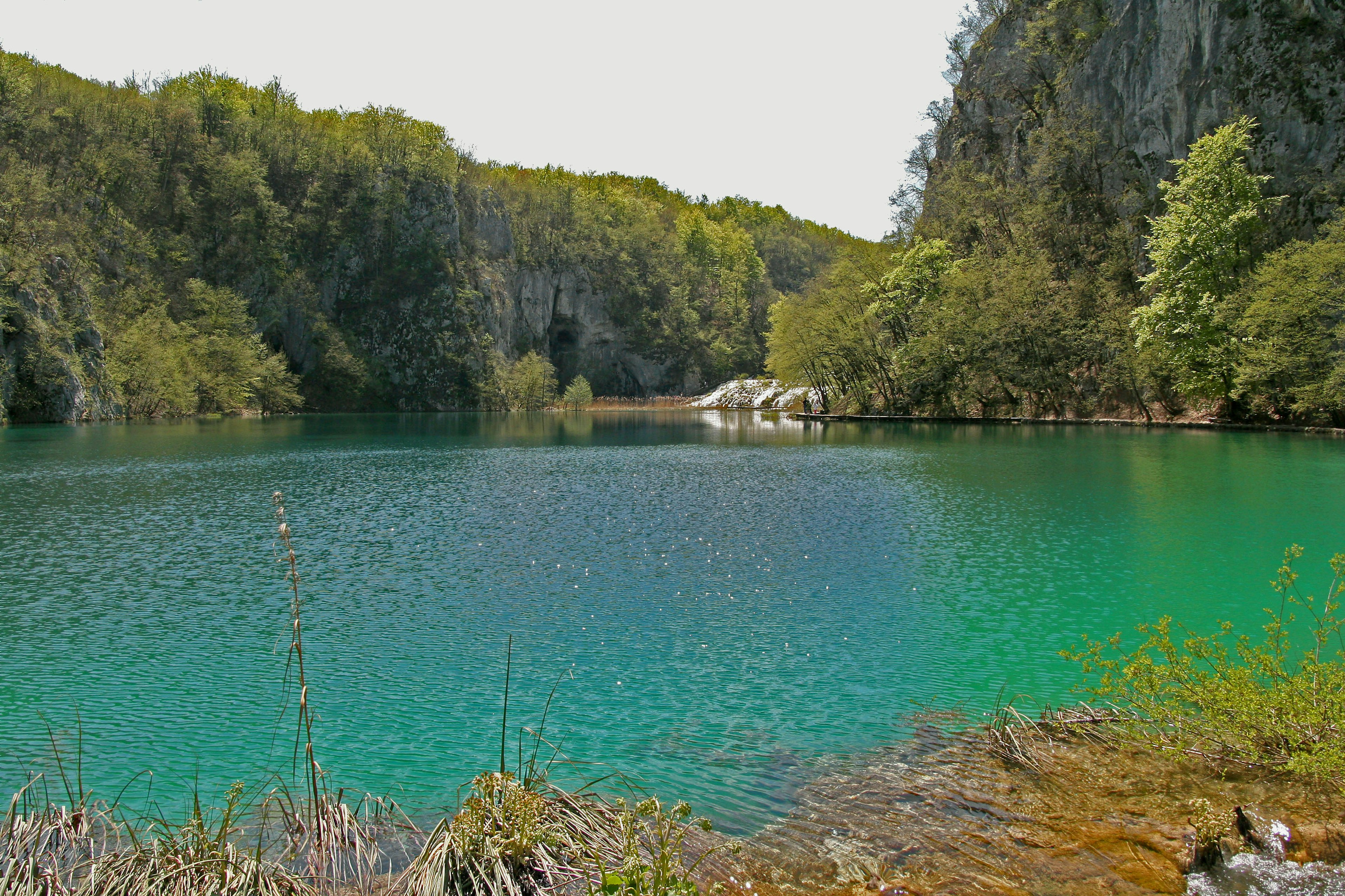 Un lago tranquillo con acqua turchese circondato da una vegetazione lussureggiante