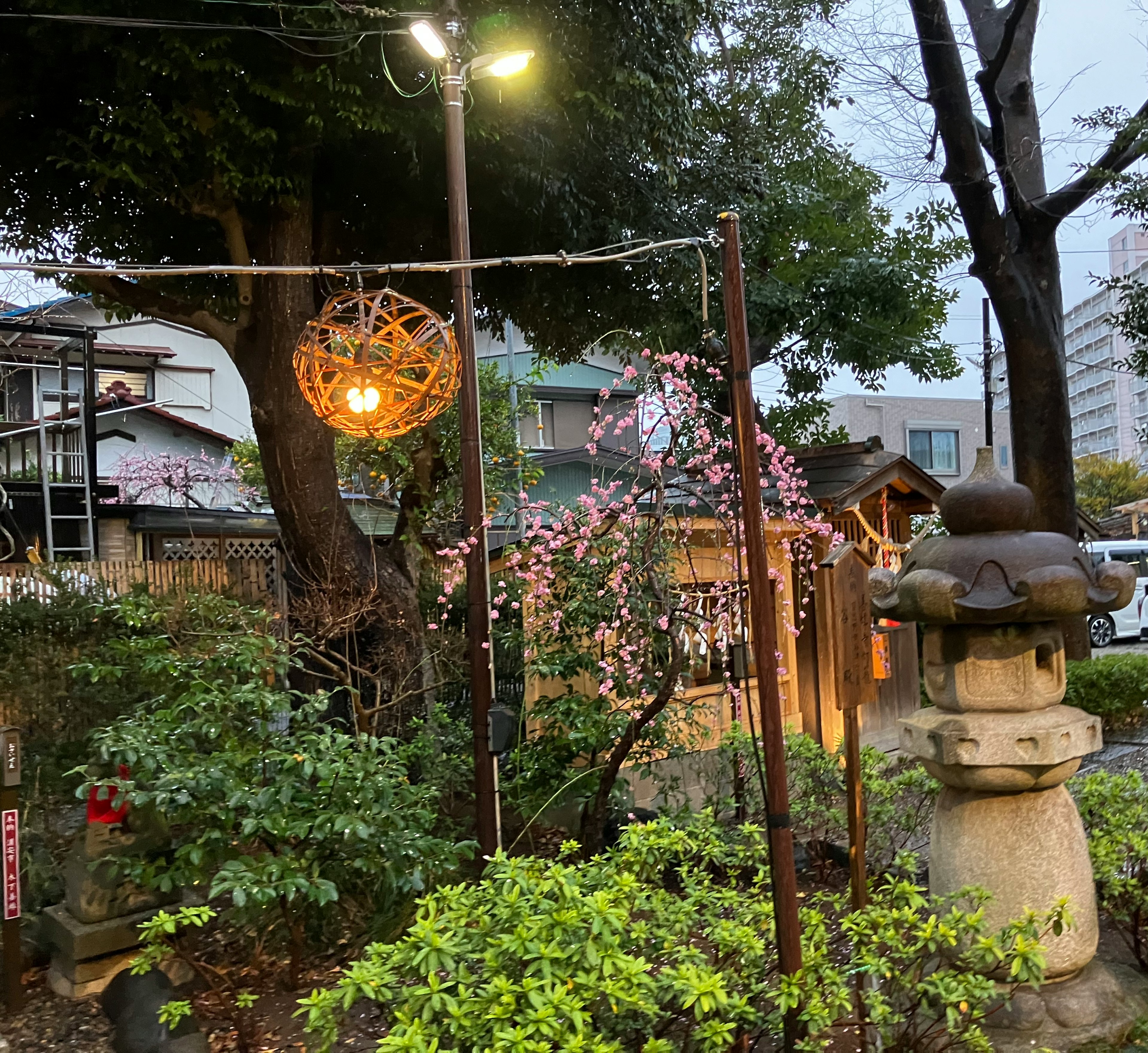 Una scena di giardino con illuminazione decorativa e una lanterna in pietra