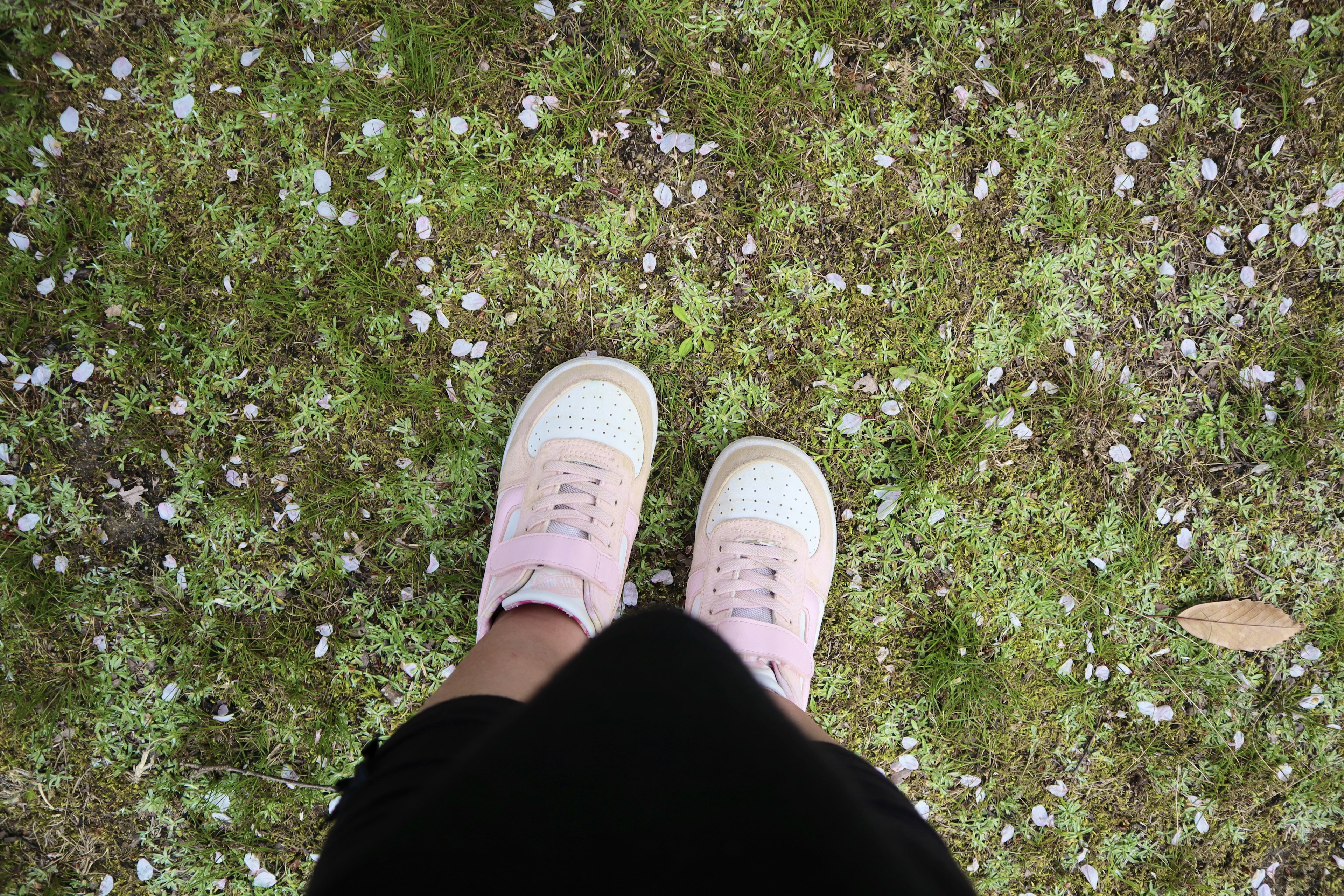 Feet in pink sneakers standing on green grass scattered with flower petals