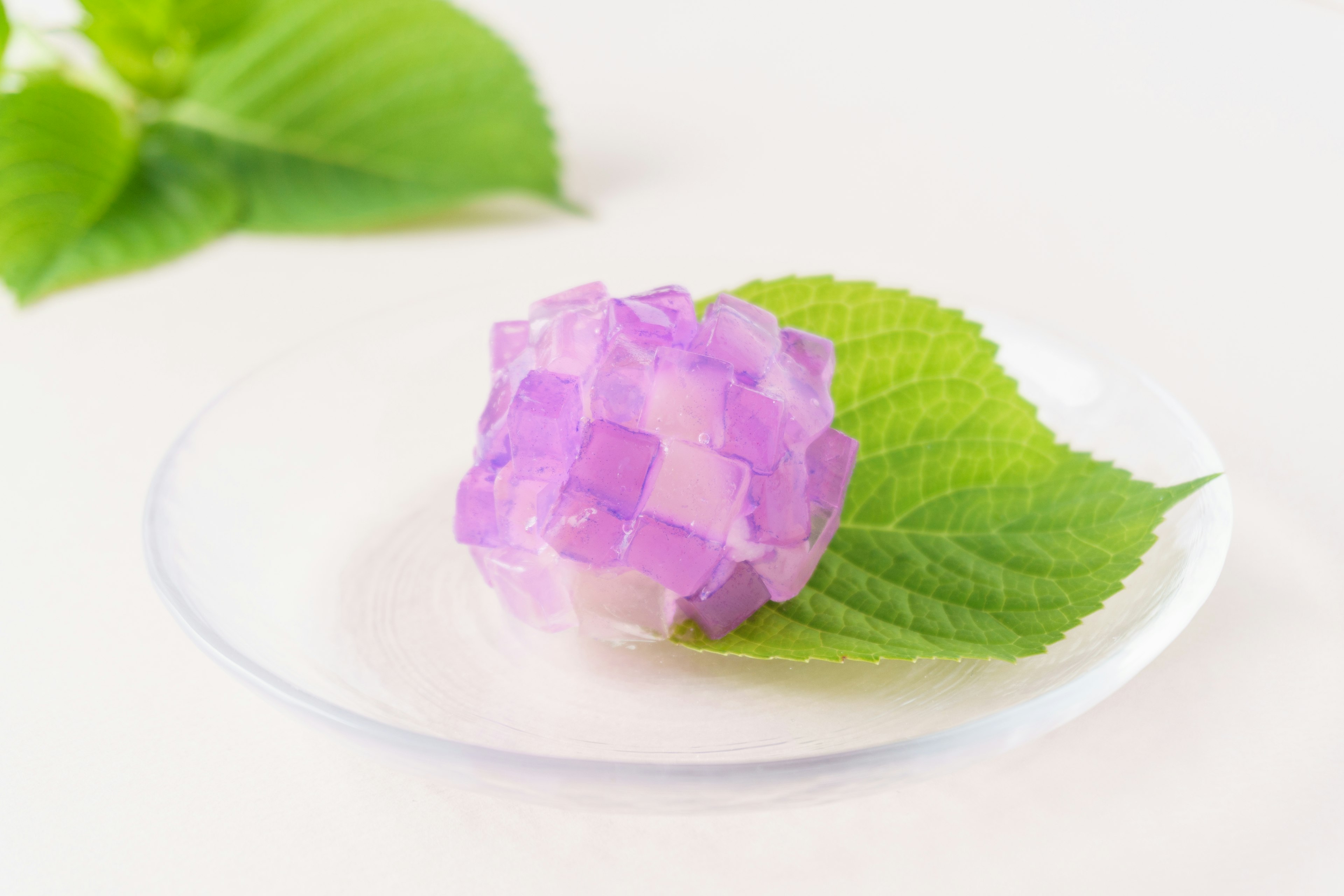 Dessert di gelatina viola posato su una foglia verde