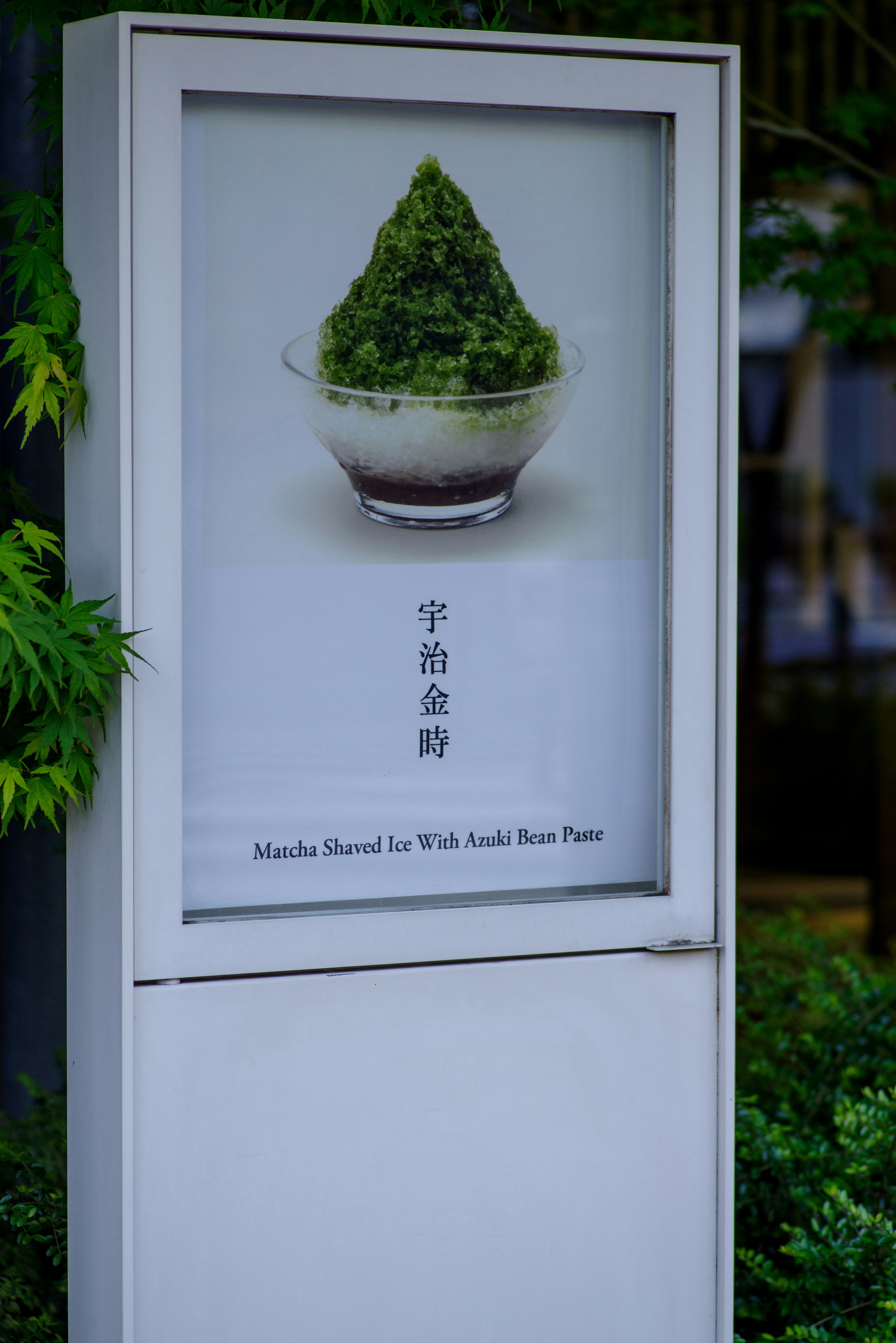 Sign featuring matcha shaved ice in a bowl surrounded by greenery