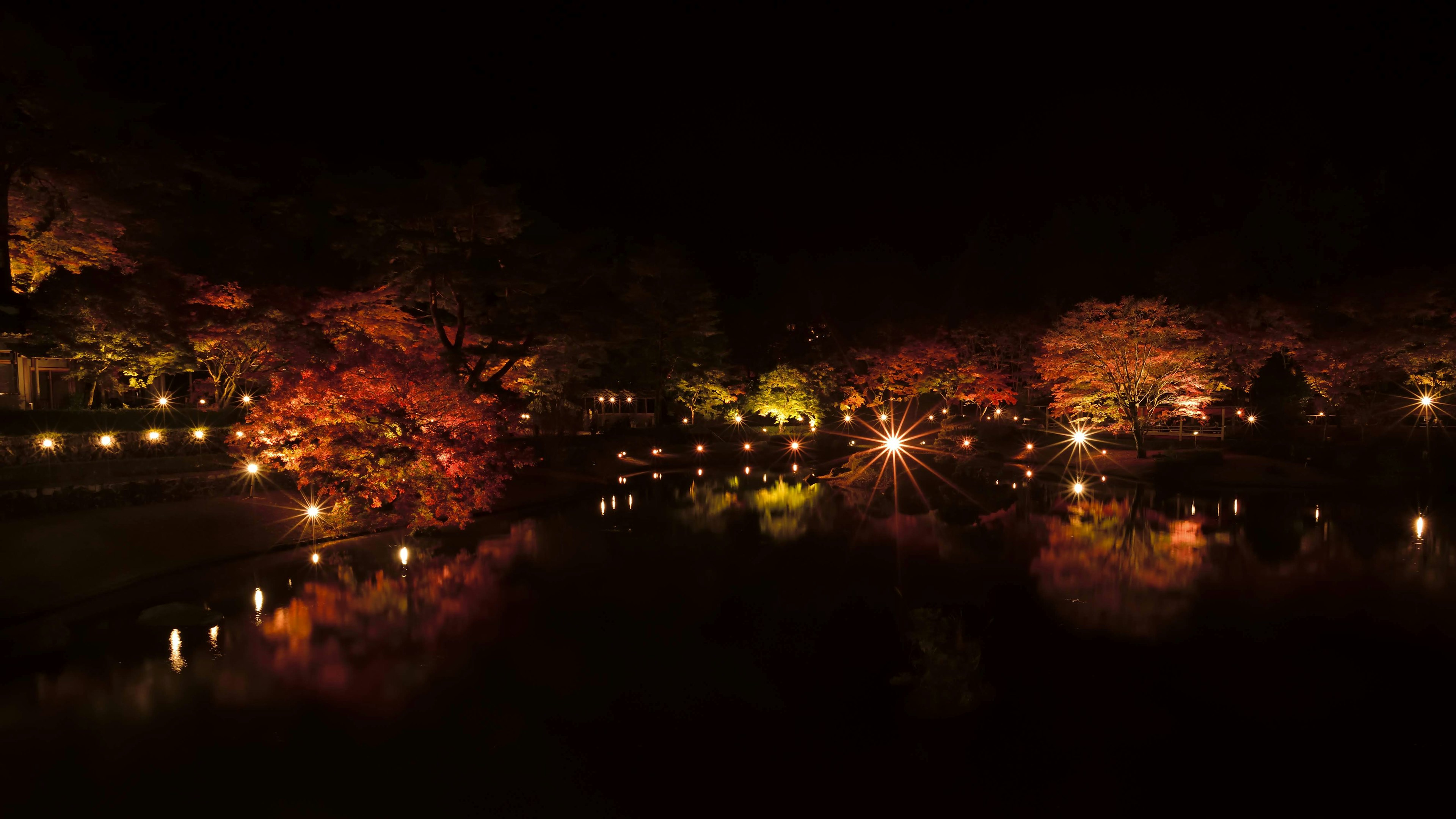 Hermoso paisaje de hojas de otoño reflejándose en un estanque por la noche